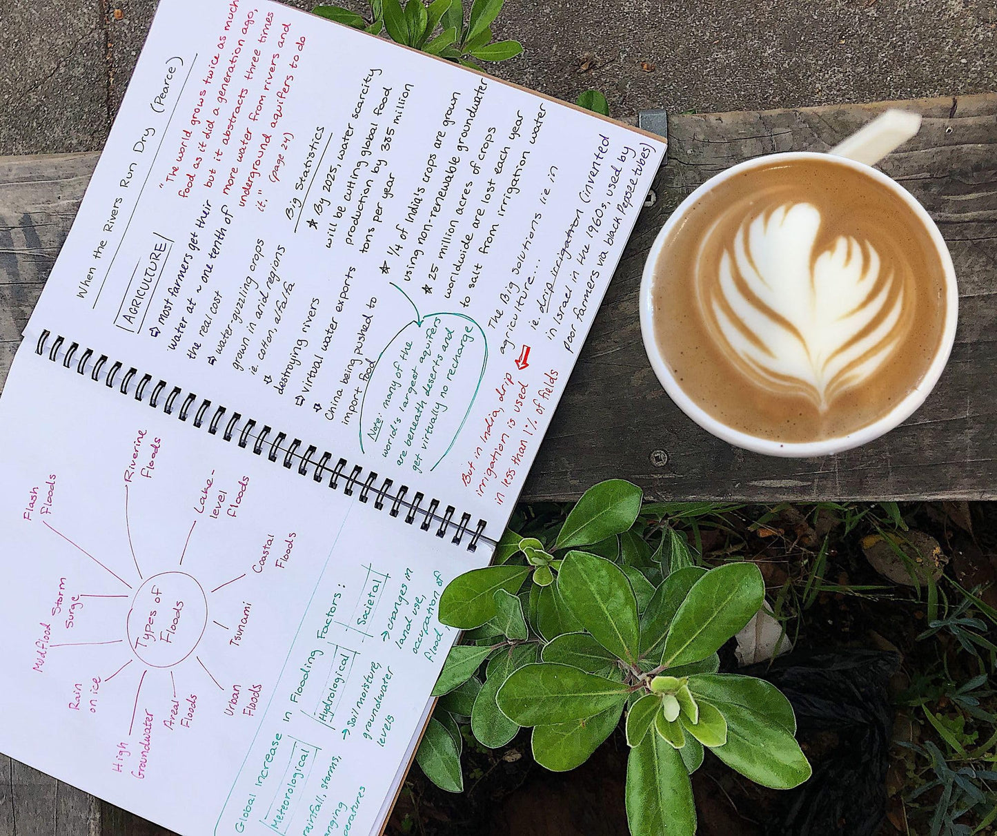 Unruled Classic Blank Spiral Notebook, 60lb Premium Plain Paper, 70 Sheets, Recycled and Sustainable, 10.5" x 8", 3 Pack, Assorted Foil/Wire