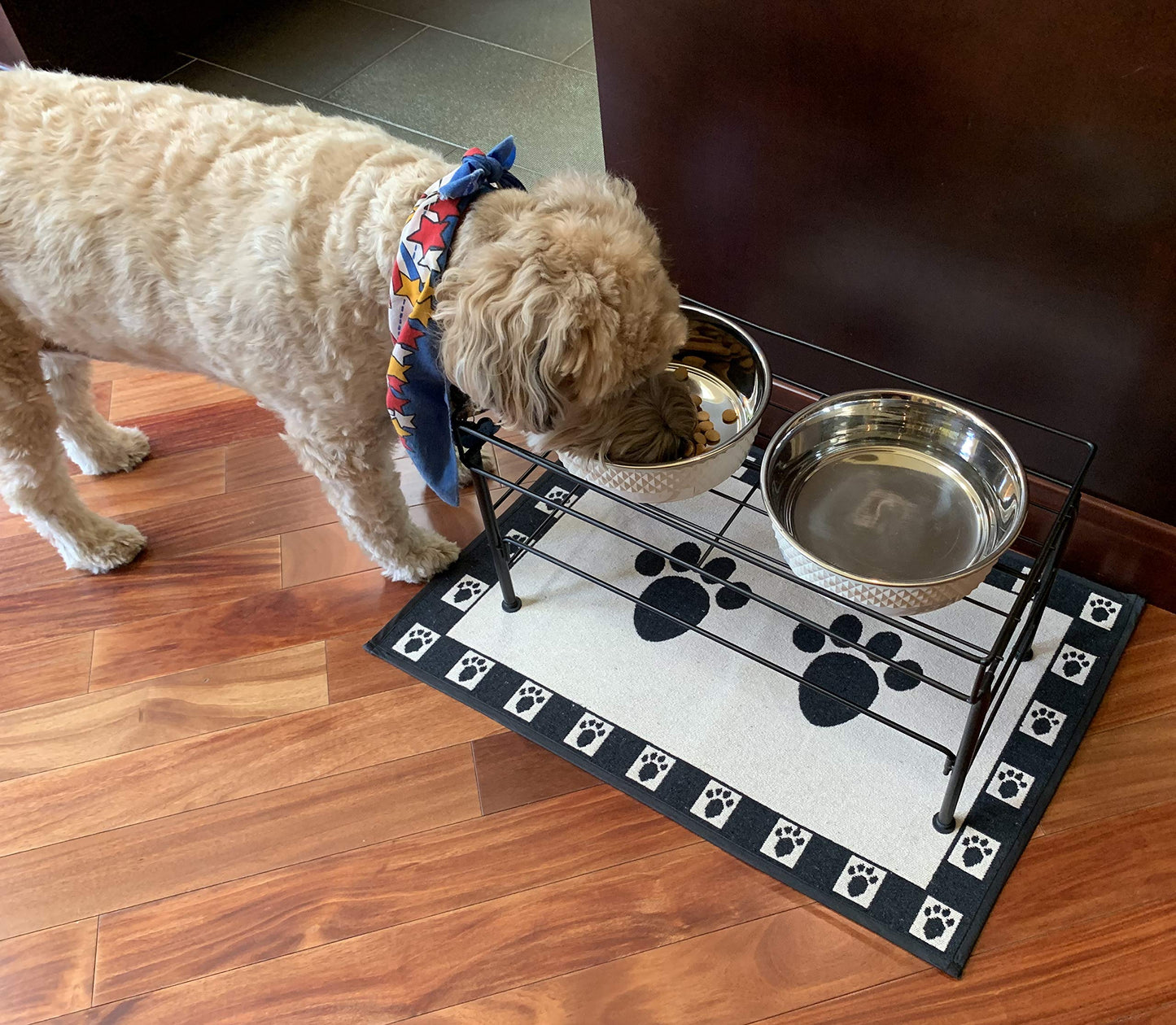 PetRageous 81032 Bradys Set The Table Steel Frame Dog Feeder, 10-Inch Tall by 20-Inch Long and 10-Inch Wide, Holds Two 9-Inch Diameter Bowls for Large and Extra Large Dogs, Black