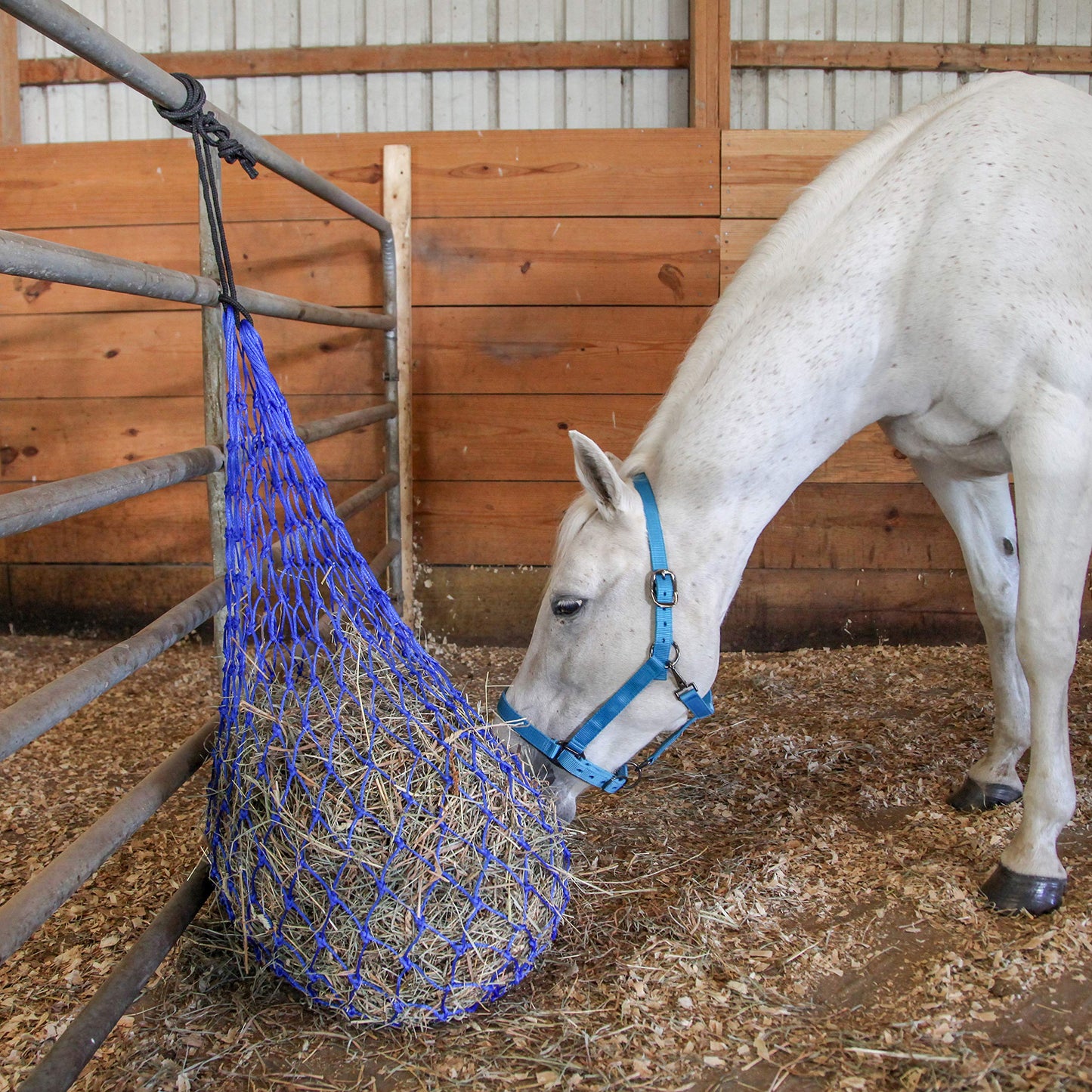 Majestic Ally 2 pcs Slow Feed 56” Hay Net with Soft 3"x3" Holes for Horses & Livestock, Nylon Rope Hanging, Simulates Grazing, Reduce Waste (Black)