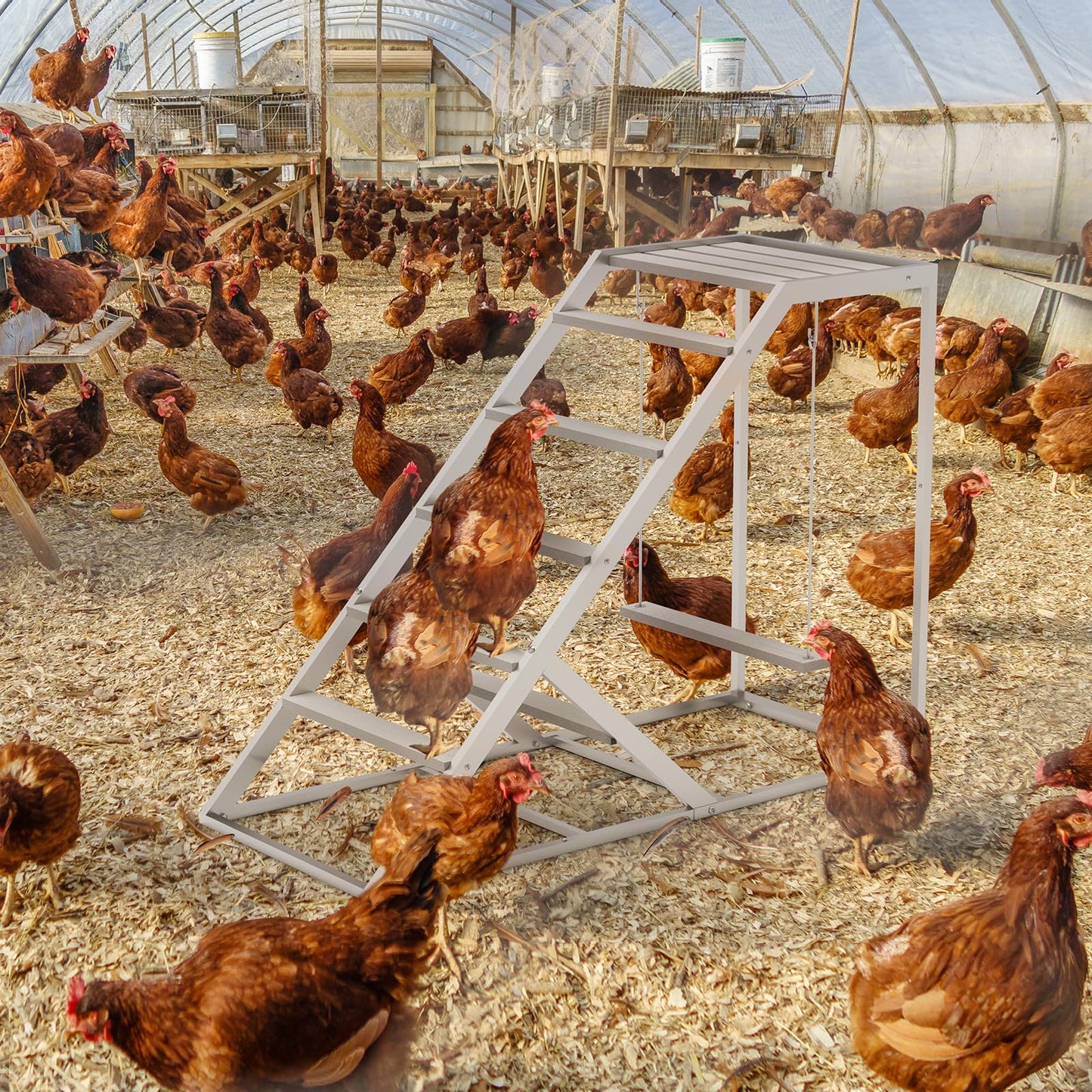 Chicken Coop Perches with Swing, Roosting Bars, Chicken Run Accessories Toy, Wooden Ladder for Pet's Healthy & Happy, Sturdy and Easy to Clean, Suitable for Backyard Farm (Half Sides)