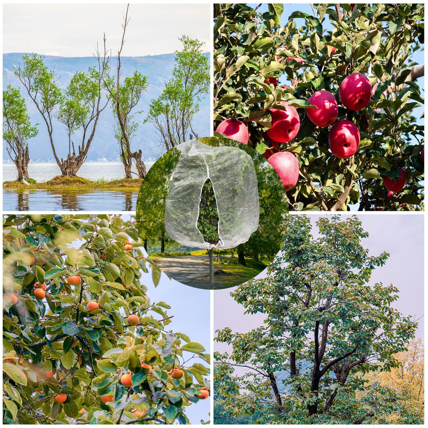 2pcs 10ftx10ft Large Fruit Tree Netting Bags, Bird Netting for Fruit Trees Cicada Tree Netting for Fruits Tree Garden Vegetables Protection