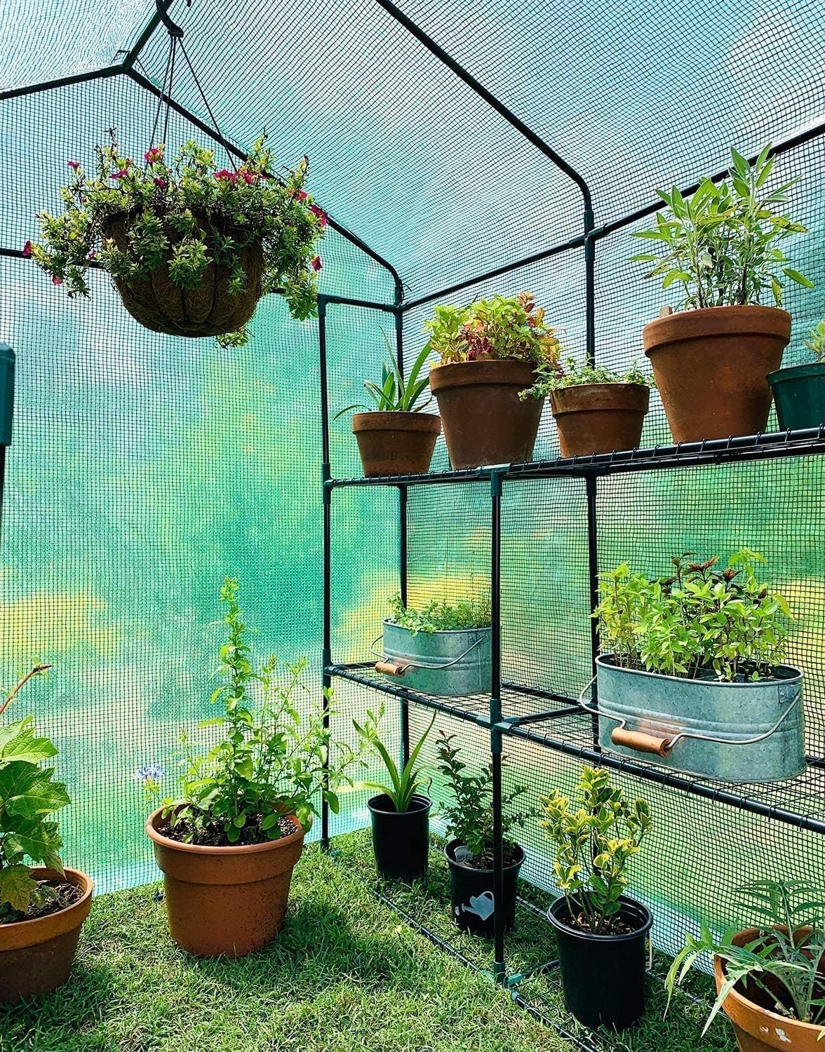 57.5" x 57" x 76" Greenhouse for Outdoors with Observation Windows, Ohuhu Large Walk-in Plant Greenhouse, 3 Tiers 12 Shelves Stands Green House with Ground Pegs & Ropes for Stability, 4.8x4.8x6.3 FT