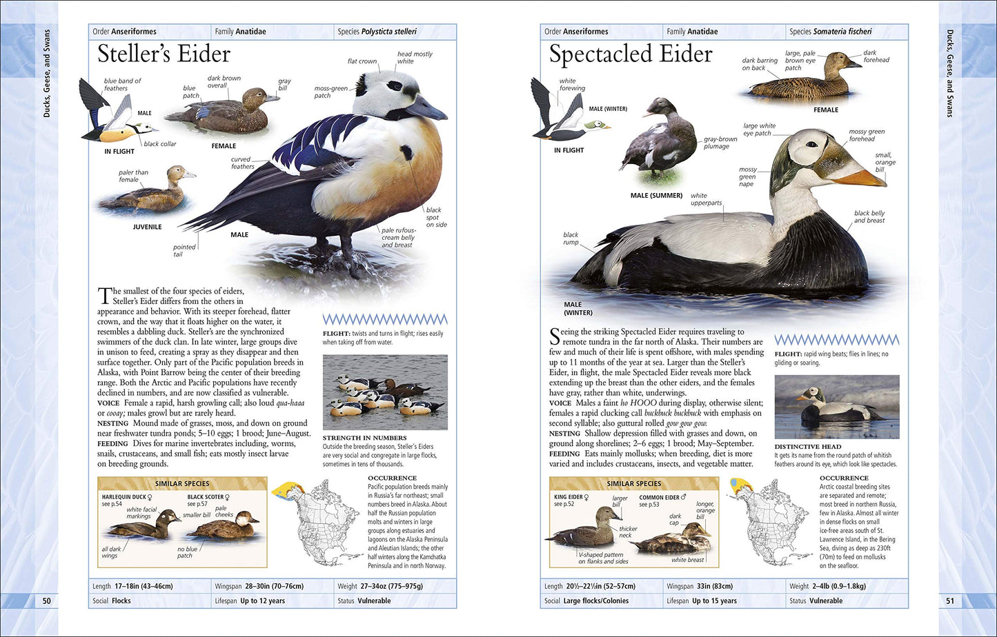 AMNH Birds of North America