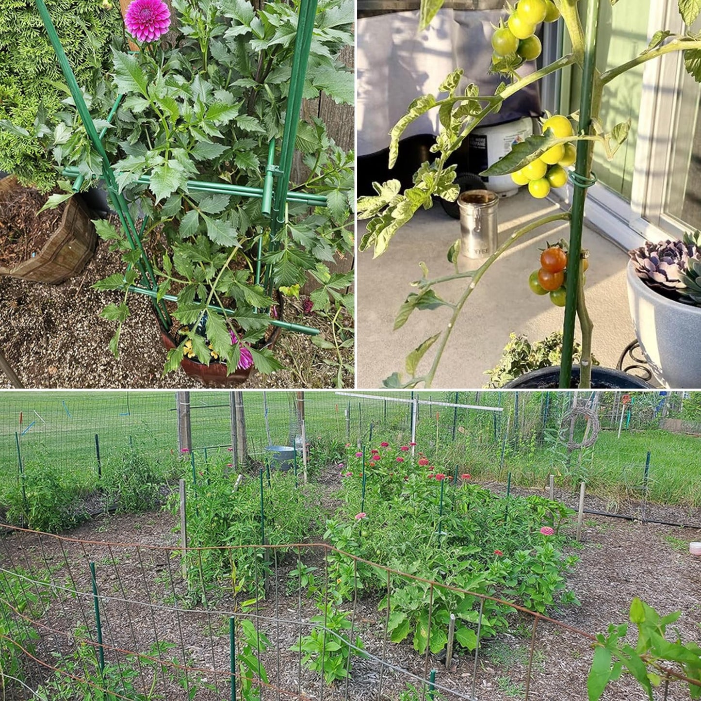 48 Inches Garden Stakes 30PCS, Plant Stakes Support for Gardening, Plastic Coated Metal Garden Stakes Supports Climbing for Tomatoes, Flower, Grapes, Bean