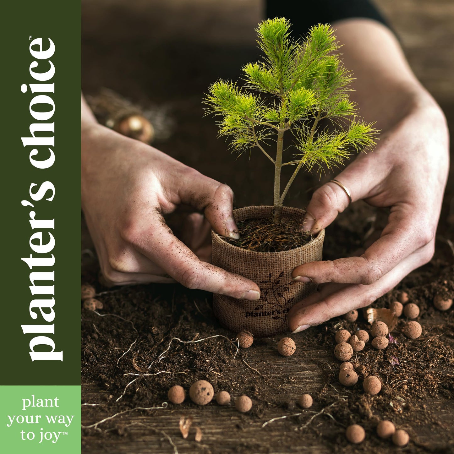 Planter's Choice Bonsai Tree Starter Kit - Unique Gifts for Women, Men - Gifts for Adults - Indoor Live House Plants - DIY Crafts for Adults Craft Kits - Hobby Gift for Gardening Lovers