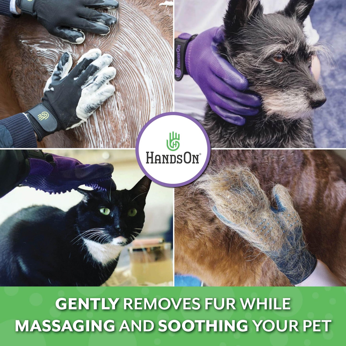 #1 Ranked, Award Winning Handson Gloves for Shedding, Bathing, Grooming, De-Shedding Horses/Dogs/Cats/Livestock/Small Pets - Black Medium
