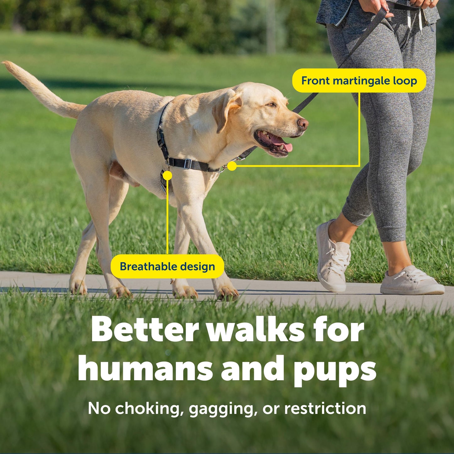 PetSafe Easy Walk No-Pull Dog Harness - The Ultimate Harness to Help Stop Pulling - Take Control & Teach Better Leash Manners - Helps Prevent Pets Pulling on Walks - Large, Charcoal/Black