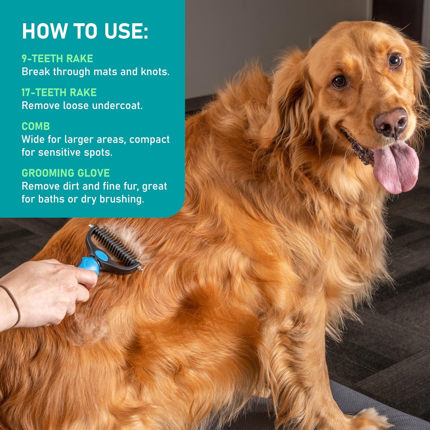 Maxpower Planet Pet Grooming Brush - Dog Grooming tools Bundle (Rake and Gloves and Comb)