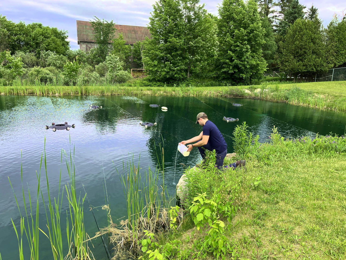 Bacterius Equinox, Cold Water Beneficial Bacteria for Pond (1 L)