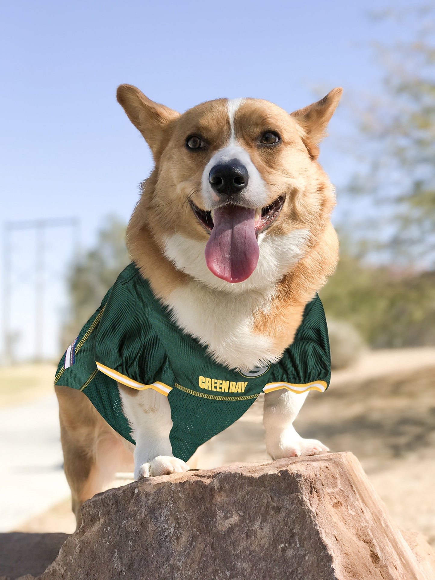 NFL Green Bay Packers Dog Jersey, X-Large