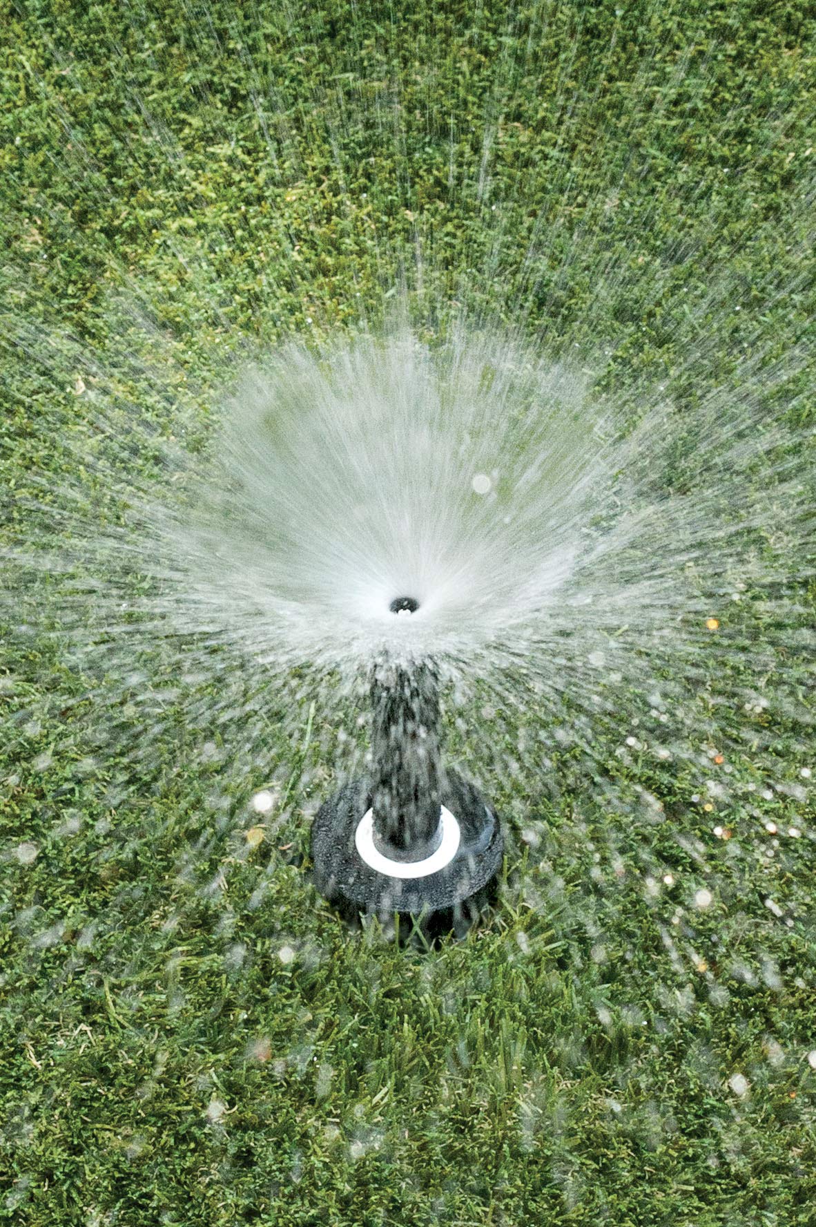 Rain Bird 1804AP4PK Professional Pop-Up Sprinkler, Adjustable 0° - 360° Pattern, 8' - 15' Spray Distance, 4" Pop-up Height, 4-Pack