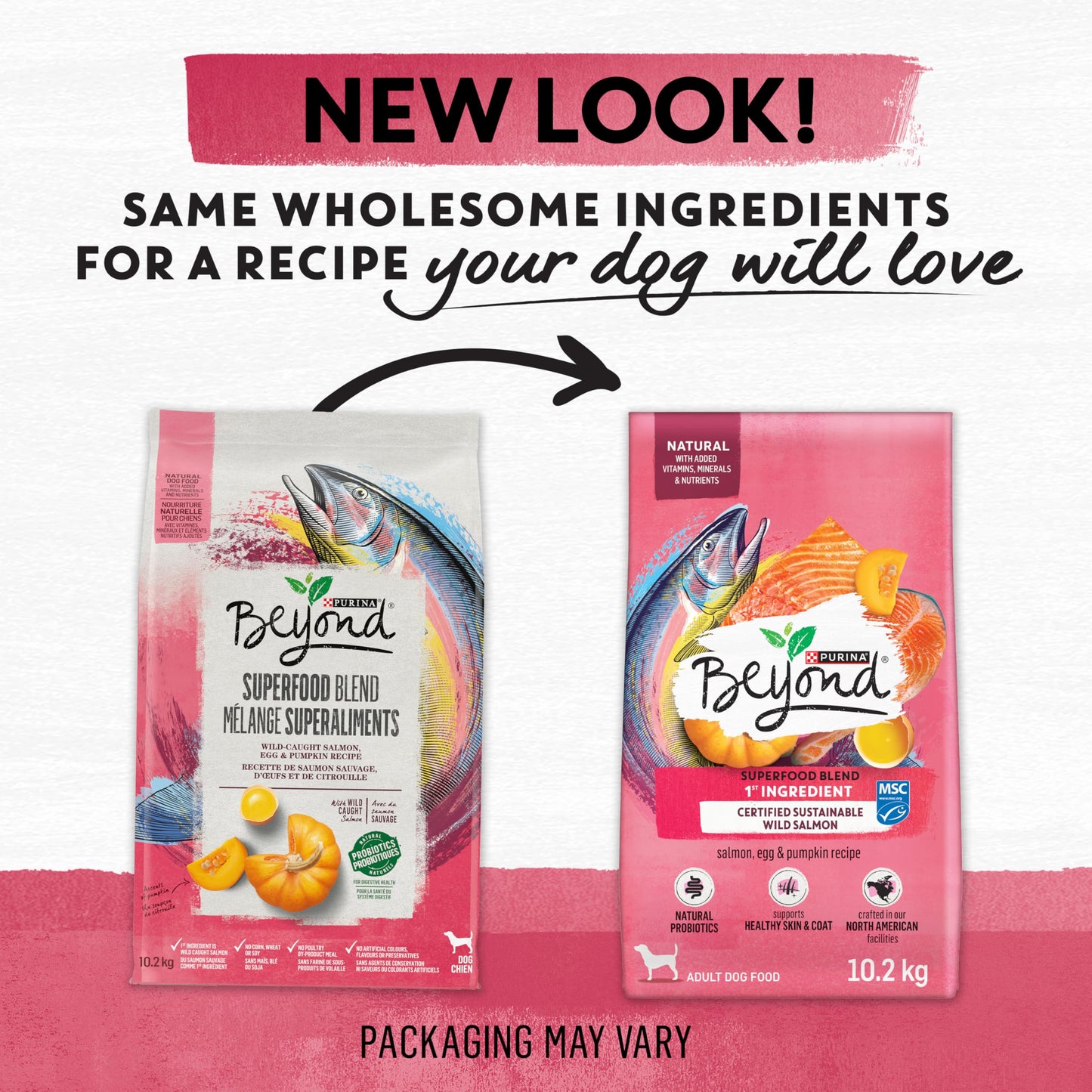 Beyond Superfood Blend Natural Dry Dog Food, Wild Caught Salmon, Egg & Pumpkin - 10.2 kg Bag