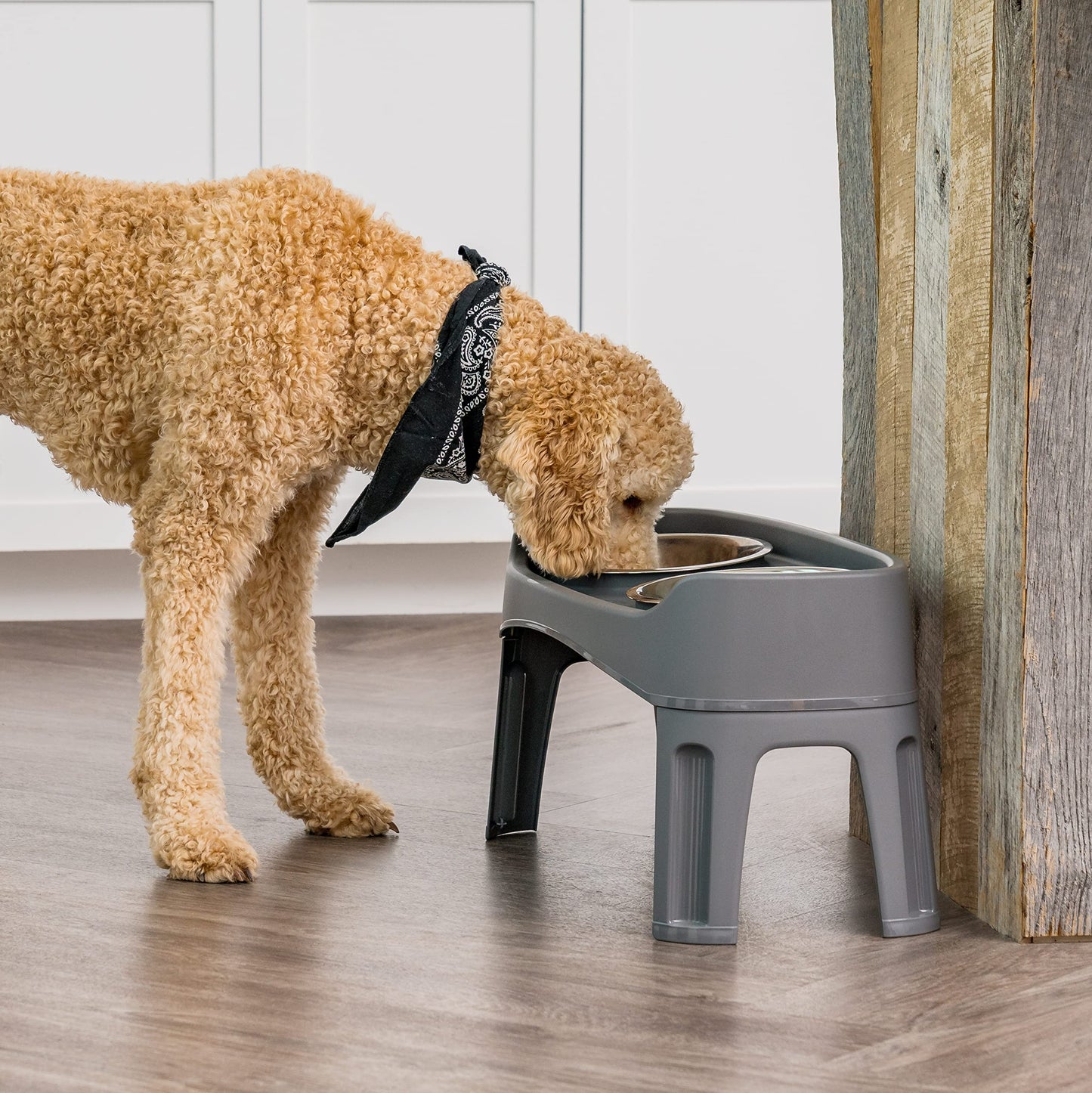 IRIS USA Elevated Dog Bowls, Adjustable Height, 2 Thick 1.9 L Stainless Steel Bowls, Spill-Proof with Raised Outer Rim, Durable Plastic, Easy Assemble, 2 Heights 11.8 or 31.1 cm, Dark Gray
