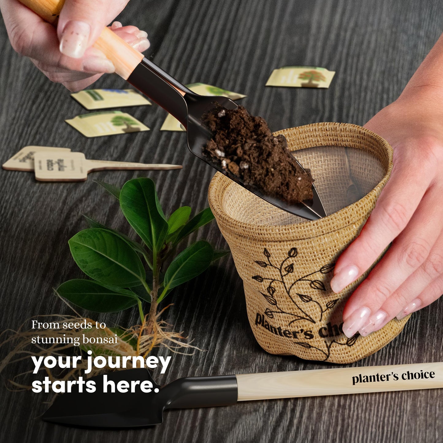 Planter's Choice Bonsai Tree Starter Kit - Unique Gifts for Women, Men - Gifts for Adults - Indoor Live House Plants - DIY Crafts for Adults Craft Kits - Hobby Gift for Gardening Lovers
