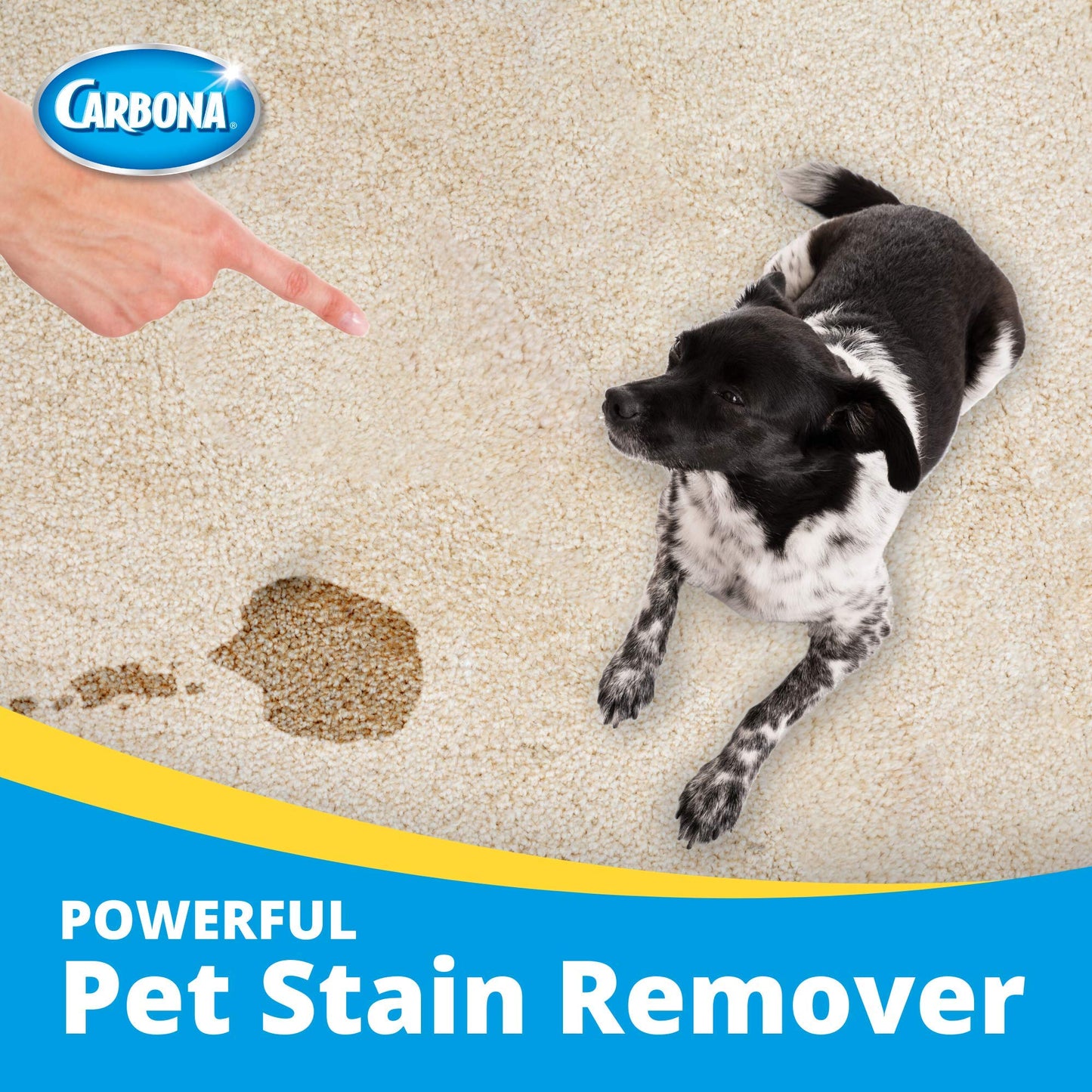 Carbona Oxy-Powered Pet Stain & Odor Remover w/ Active Foam Technology | 22 Fl Oz, 2 Pack