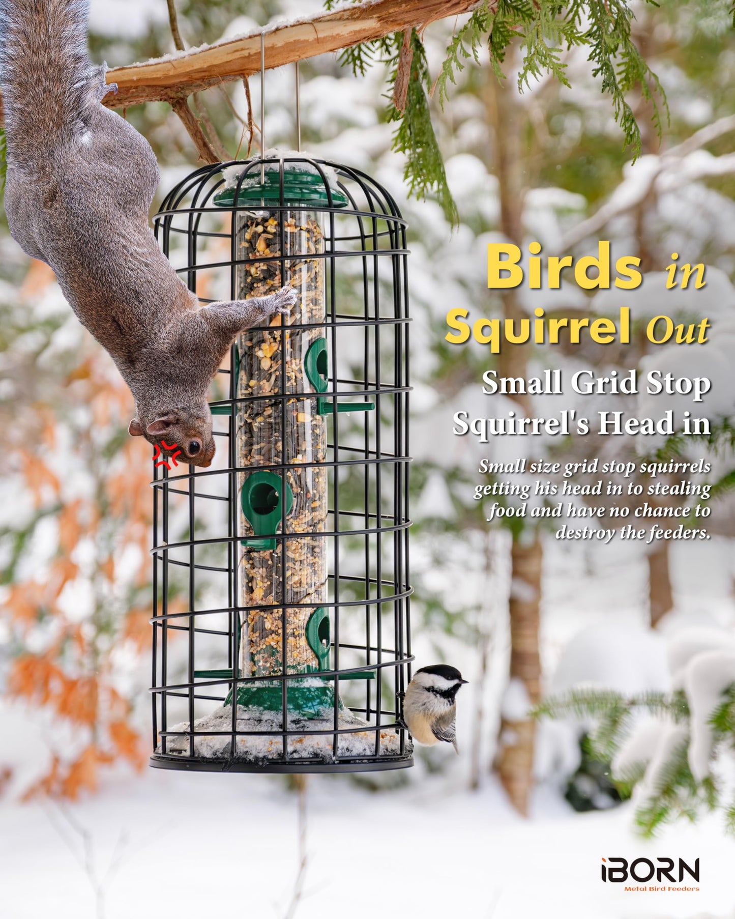 iBorn Squirrel Proof Bird Feeder Pigeon Proof Cage Bird Feeder for Outside with Squirrel, Pestoff Hanging Wild Bird Seed Feeder for Mix Seed Blends, Heavy Duty All Metal Green 14 Inch