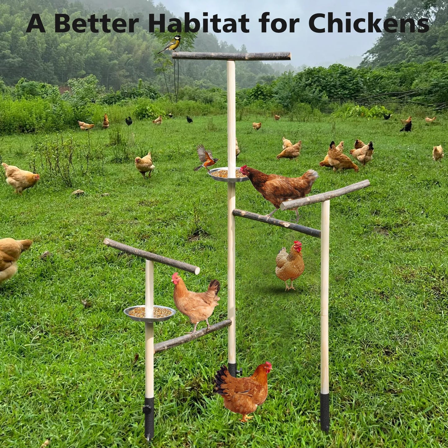 Chicken Perch Chicken Enrichment Toys for Coop Large Chicken Stand Wooden with Metal Ground Plug and Food Plate,Outdoor Poultry Playground Toys Secure Birds Training Platform