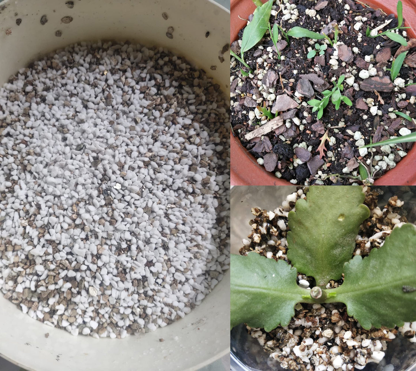 Professional Grade Horticultural Organic Vermiculite and Perlite (Vermiculite, 19L-20qt)