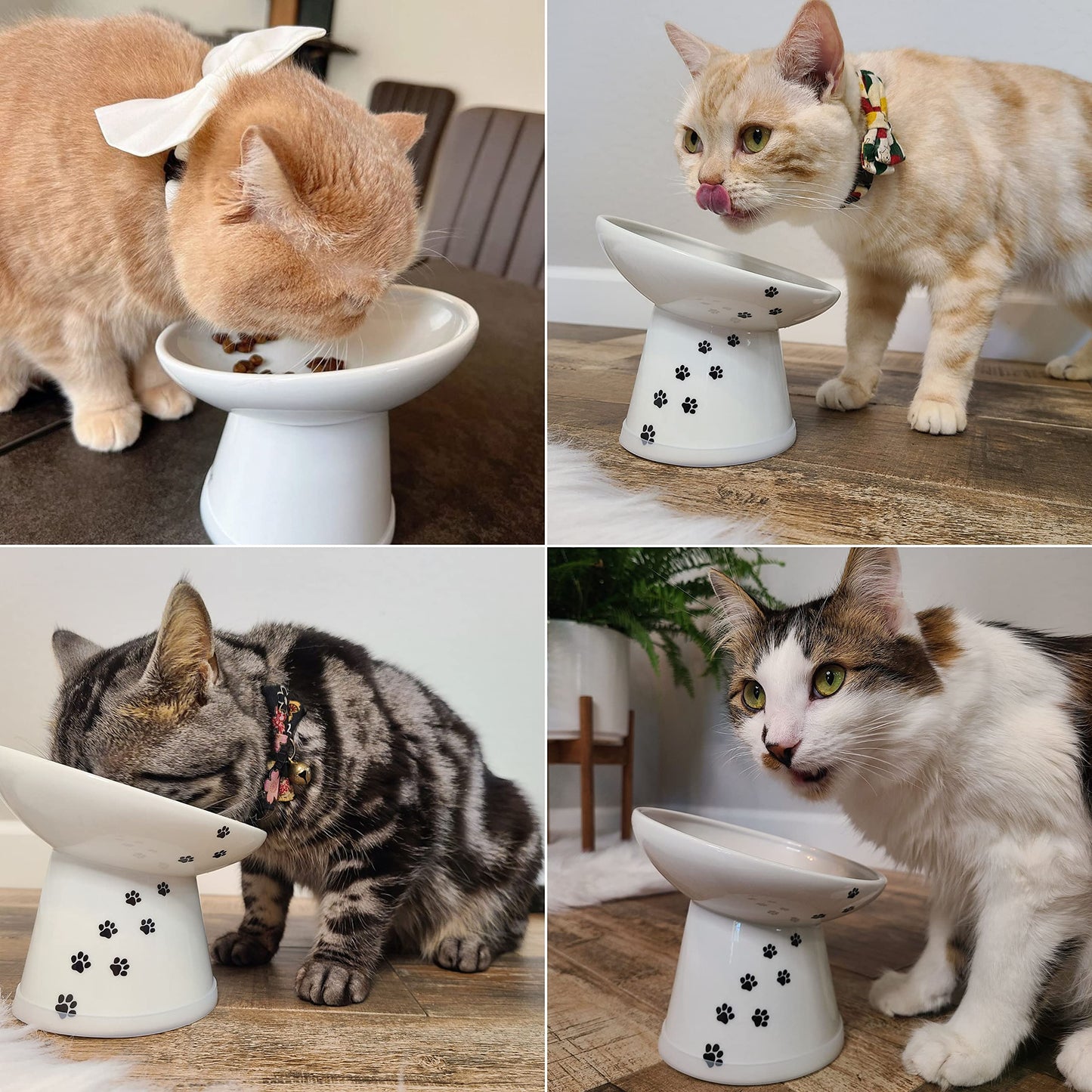 Necoichi Extra Wide Raised Cat Food Bowl (Cat, Extra Wide Tilted)