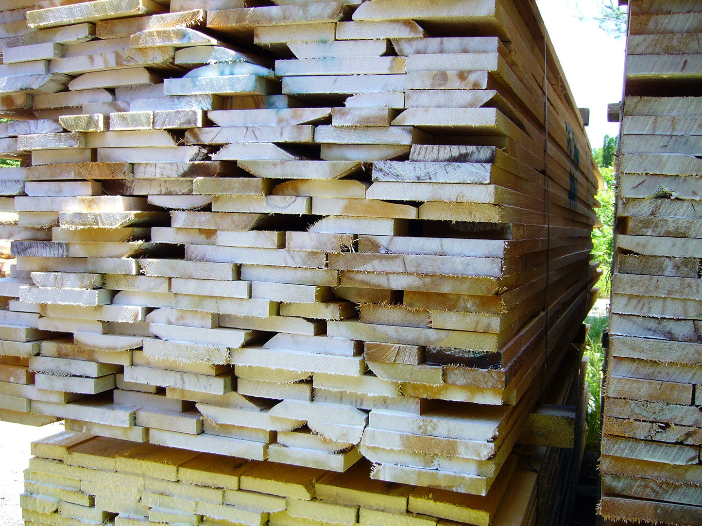 ANCHORSEAL Classic Log & Lumber End Sealer (1 Quart) - Water Based Wax Emulsion, Prevents up to 90% of End Checking on Cut Ends of Hardwood & Softwood … (1 Quart)