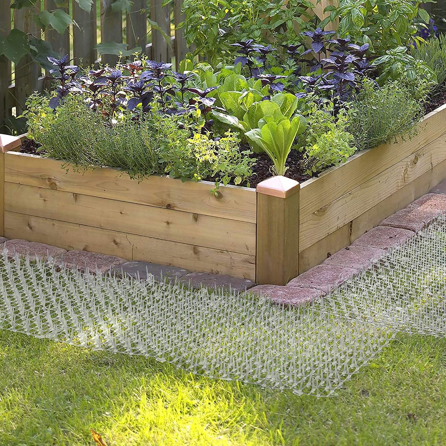 Cat Scat Mat Clear (14 ft.) with 10 Staples, Anti-cat Network with Spikes Digging Stopper - Cat Deterrent Mat for Indoor and Outdoor