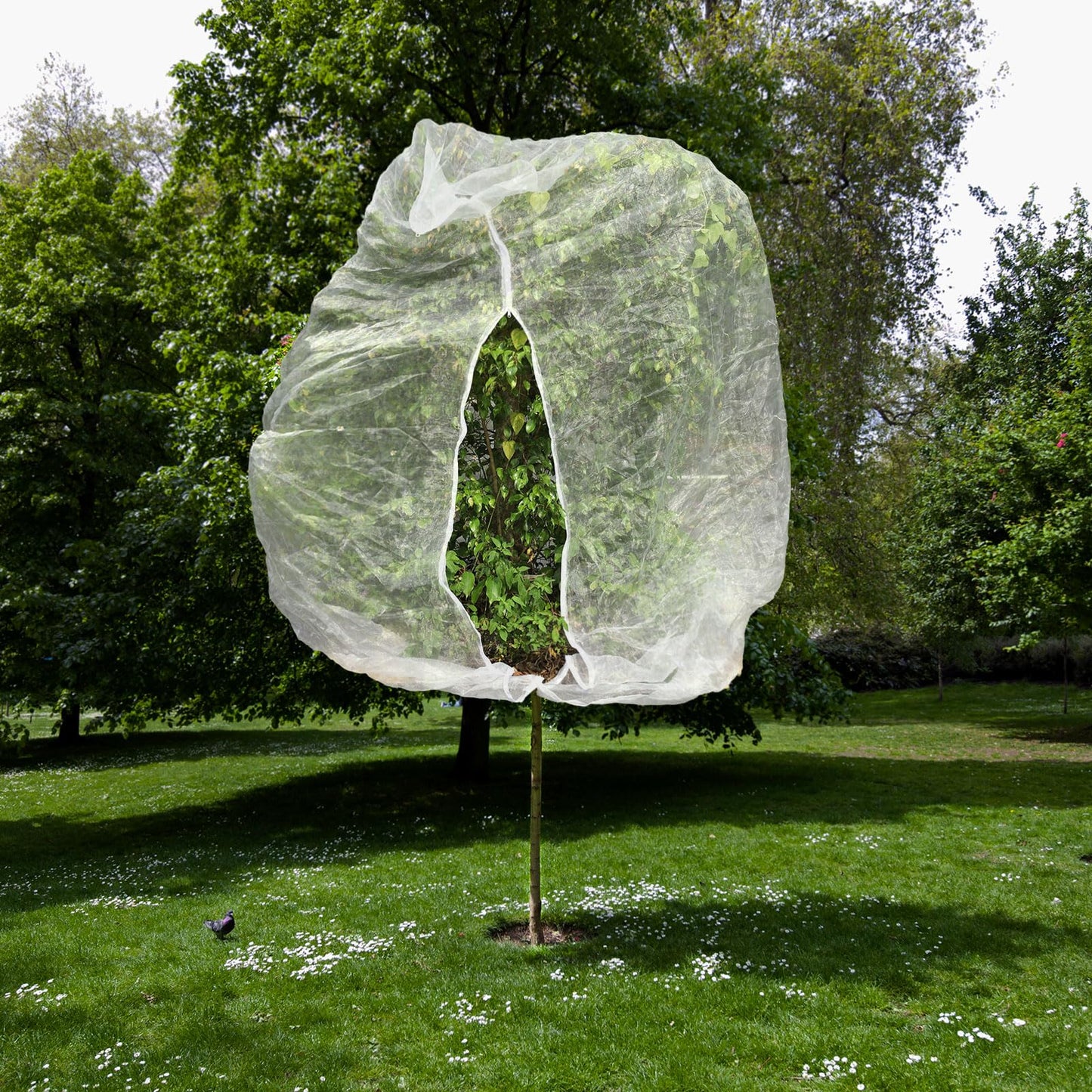 2pcs 10ftx10ft Large Fruit Tree Netting Bags, Bird Netting for Fruit Trees Cicada Tree Netting for Fruits Tree Garden Vegetables Protection