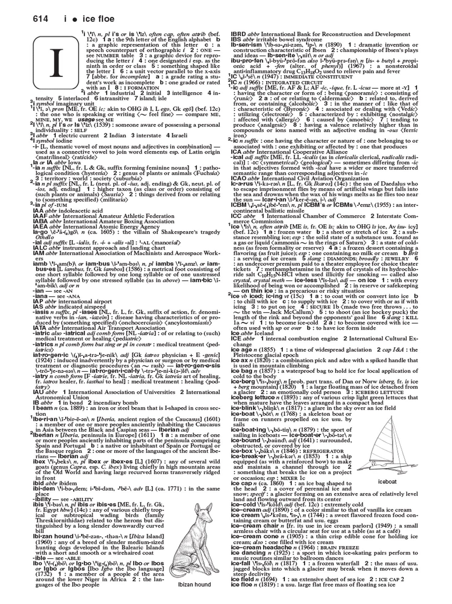 Merriam-Webster's Collegiate Dictionary, 11th Ed.