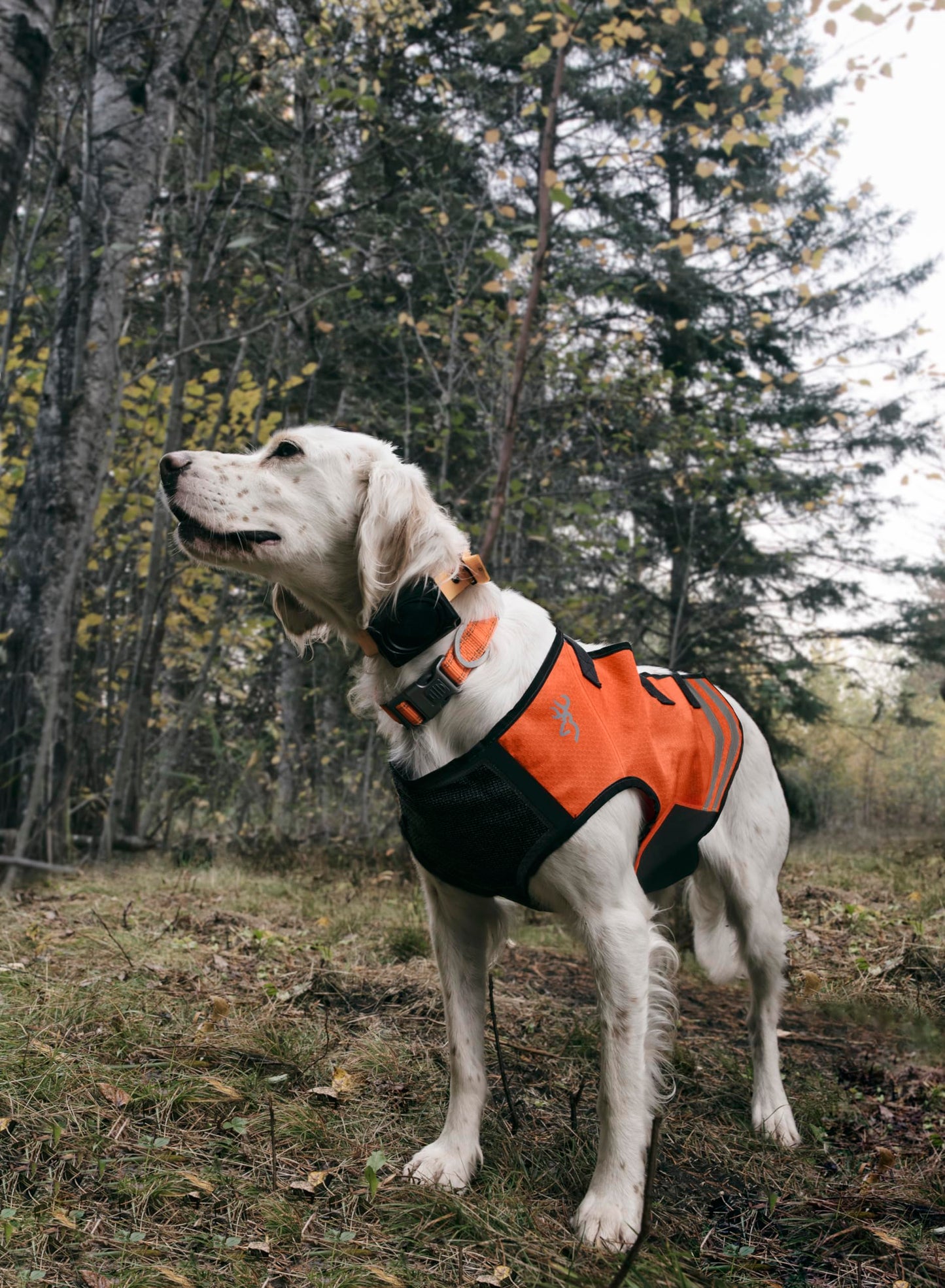 Browning Pet Vests, Hi Vis Safety Vests for Dogs, Safety Vest (Safety Orange/Black), Large