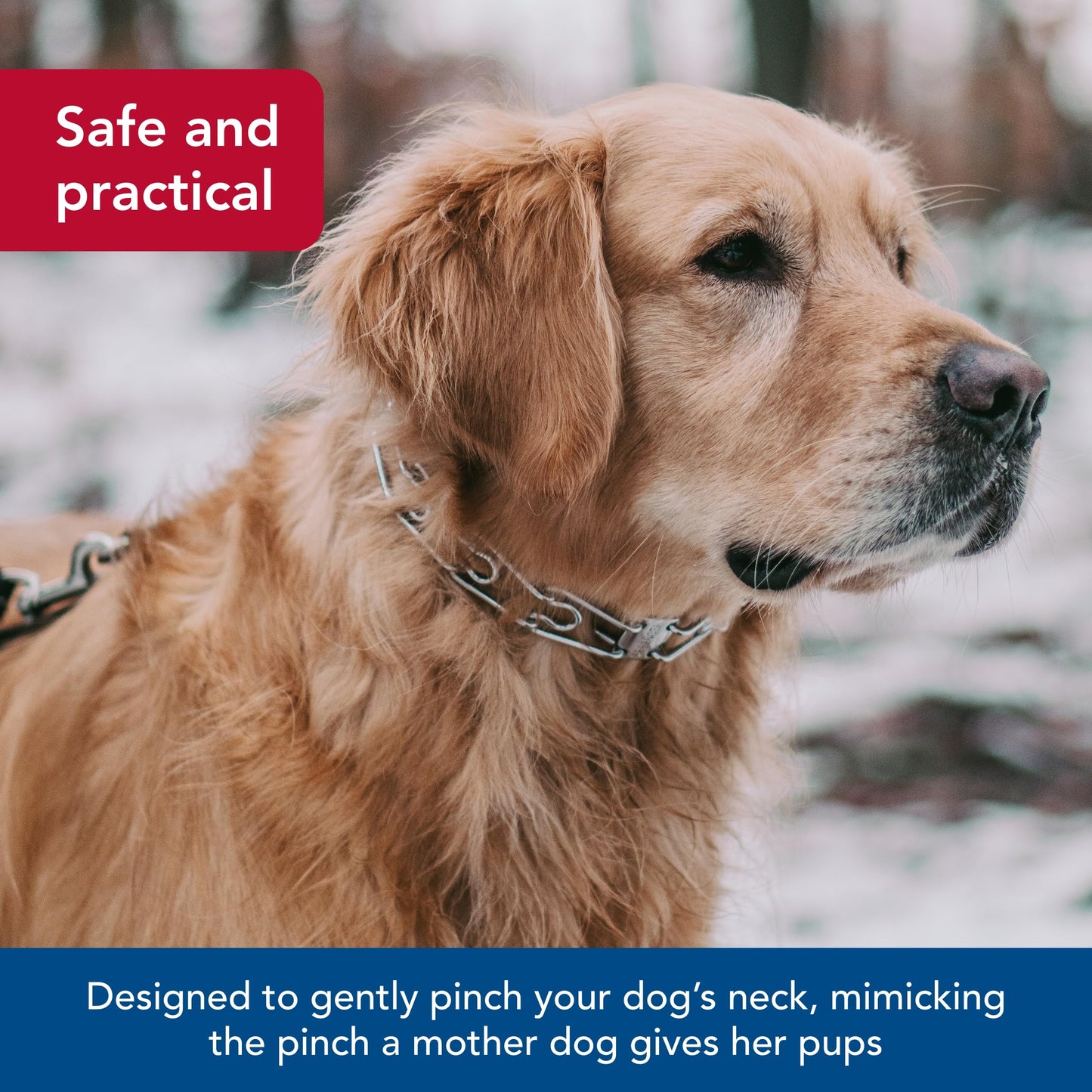 Herm Sprenger - Ultra-Plus Prong Dog Training Collar - Chrome - 3.8 mm x 22" Neck Size; 25" Chain Length