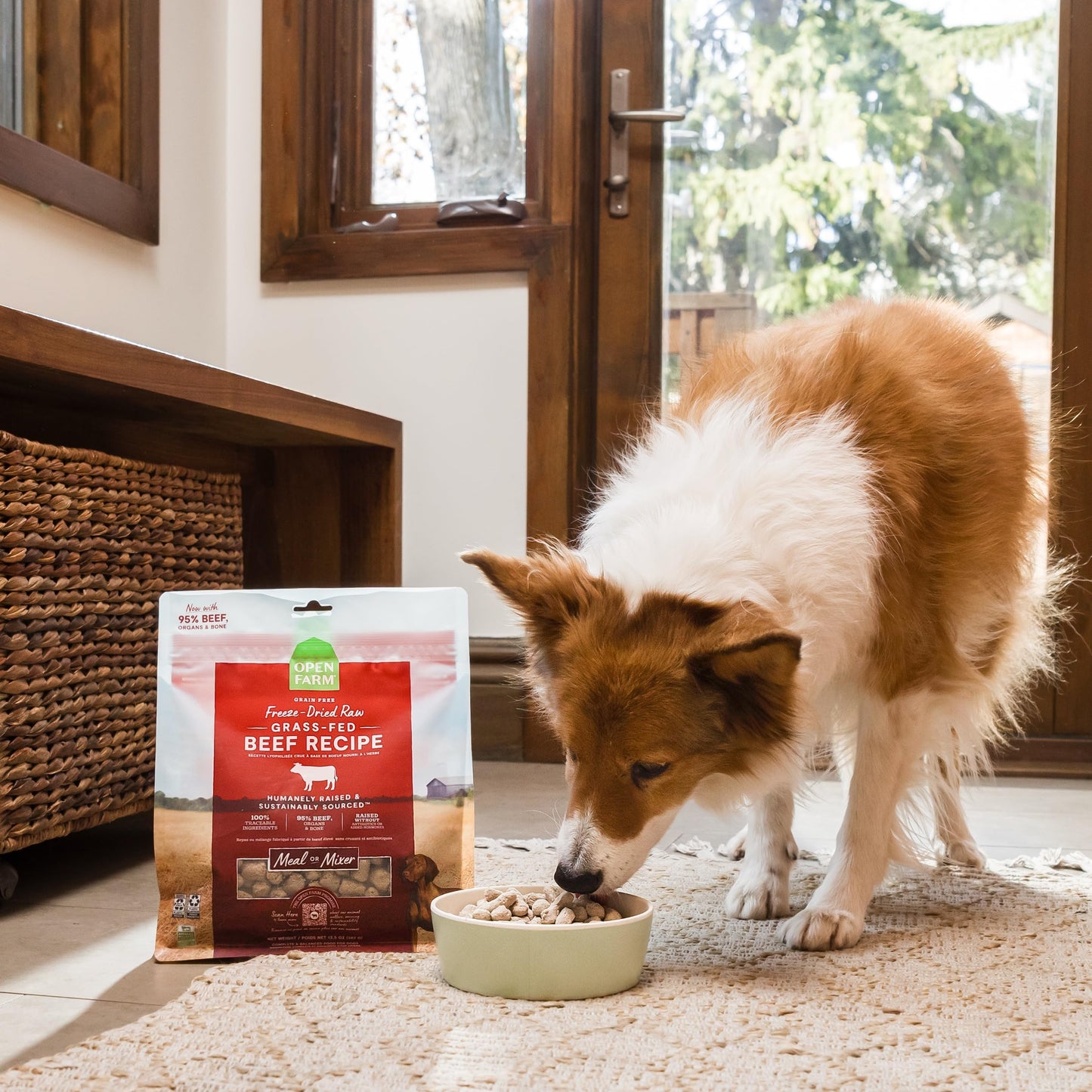 Open Farm Freeze Dried Raw Dog Food, Humanely Raised Meat Recipe with Non-GMO Superfoods and No Artificial Flavors or Preservatives (13.5 Ounce (Pack of 1), Harvest Chicken Recipe)