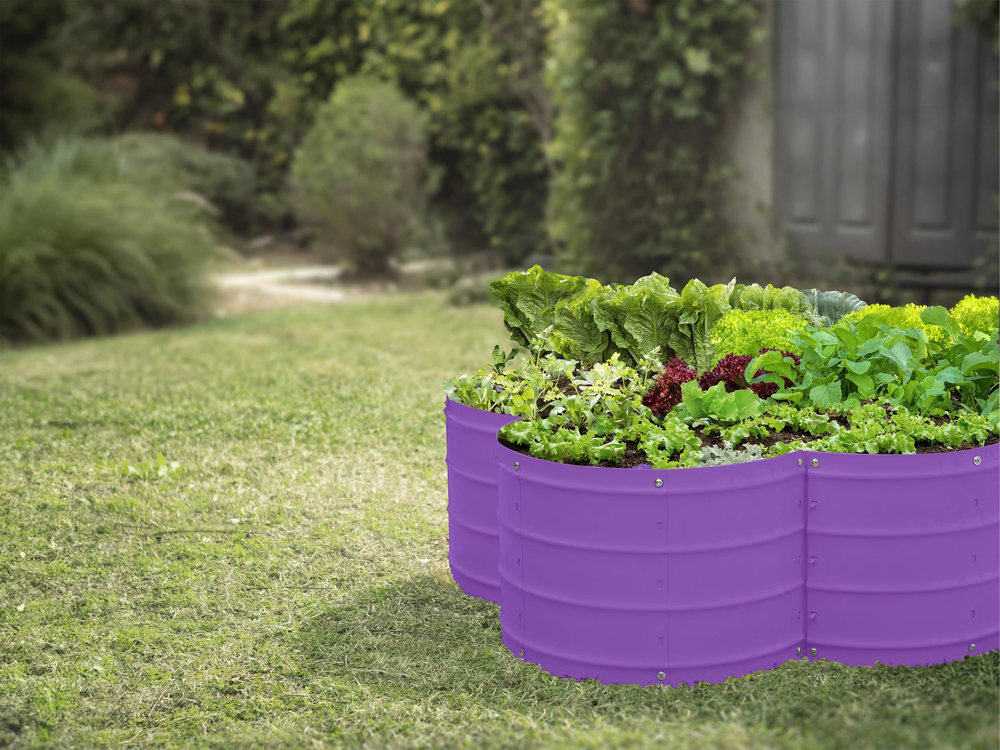 Plant & Plot Galvanized Raised Garden Beds Outdoor // 3×3×1 ft Planter Raised Beds for Gardening, Vegetables, Flowers // Large Metal Garden Box (Purple) // Patented Tool-Free Design