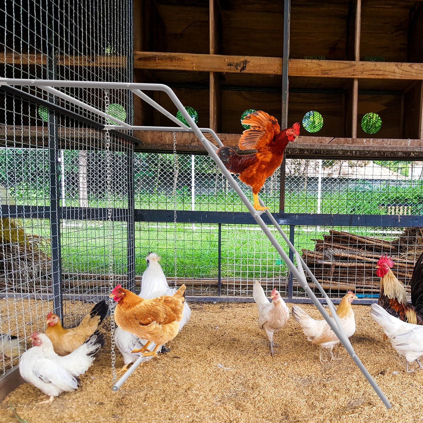 Chicken Coop Perches with Swing, Metal Chicken Roosting Bars, Chicken Run Toys Accessories for Backyard Poultry Habitat Supplies, Hen Perch for Coop, Farm Chick Ladder, Grey