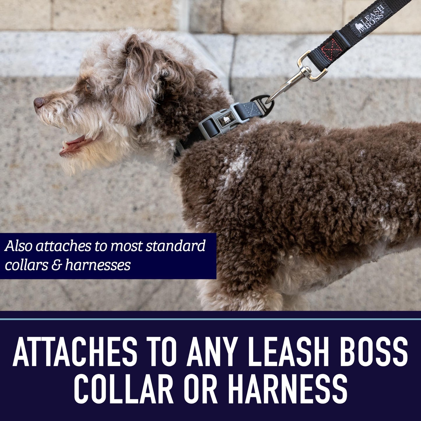 Leashboss 10 Foot Dog Leash with Padded Handle - Long Leash for Hiking, Camping, Exploring, or Walking (10 Feet, Black/Red/Grey)