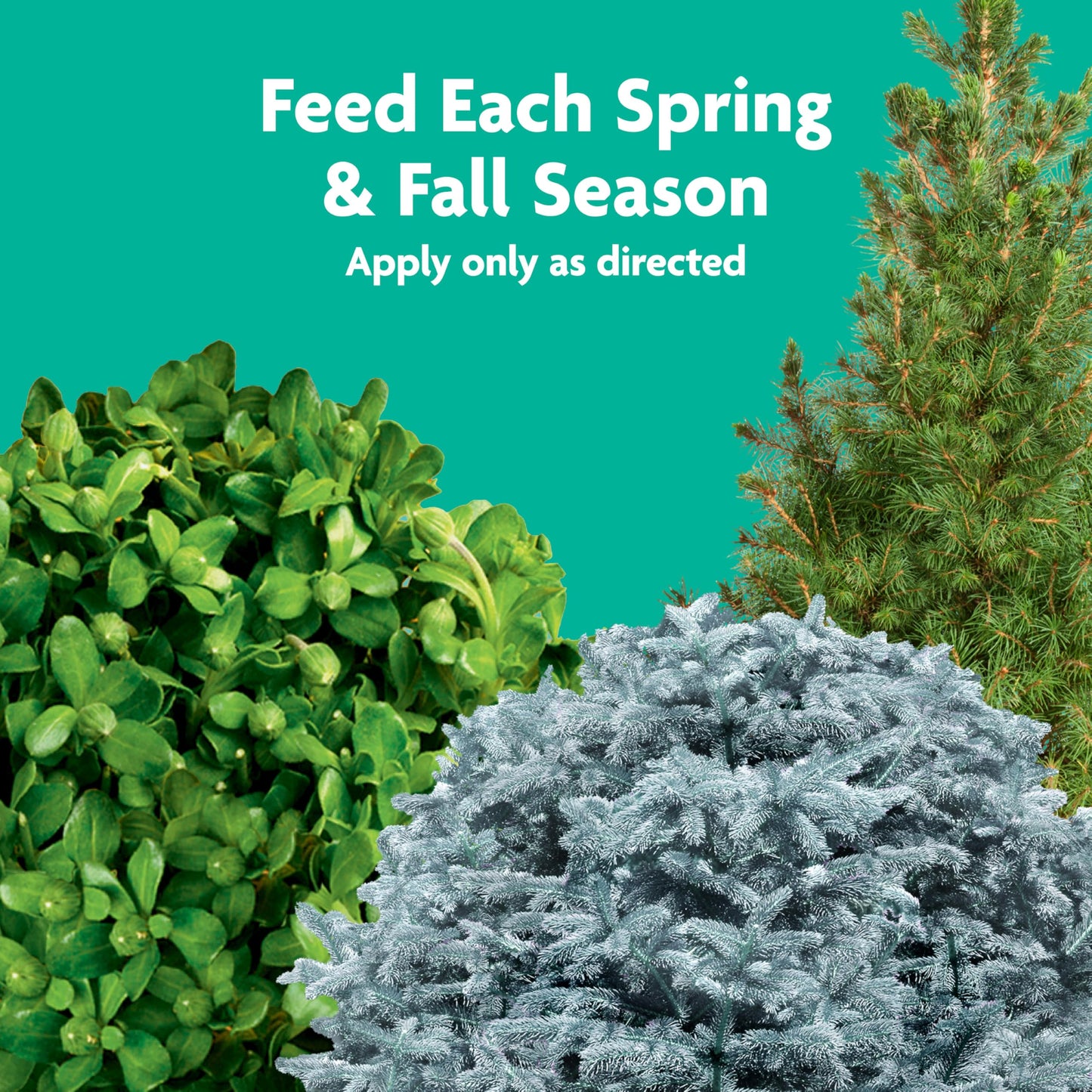 Miracle-GRO Tree & Shrub Fertilizer Spikes - 12 PK
