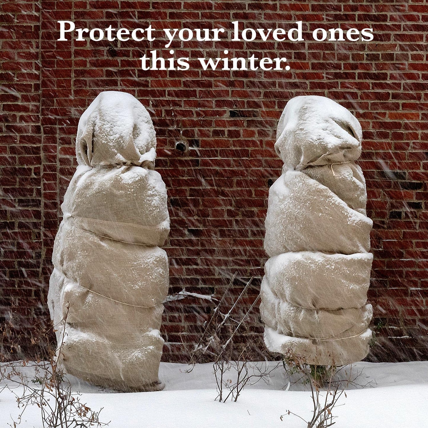 Burloptuous 60" x 16 Feet Gardening Burlap Fabric Roll - Tree Wrap, Weed Barrier, Erosion Control, Aisle Runner, Multipurpose Natural Fabric, High Density Jute Fiber Material