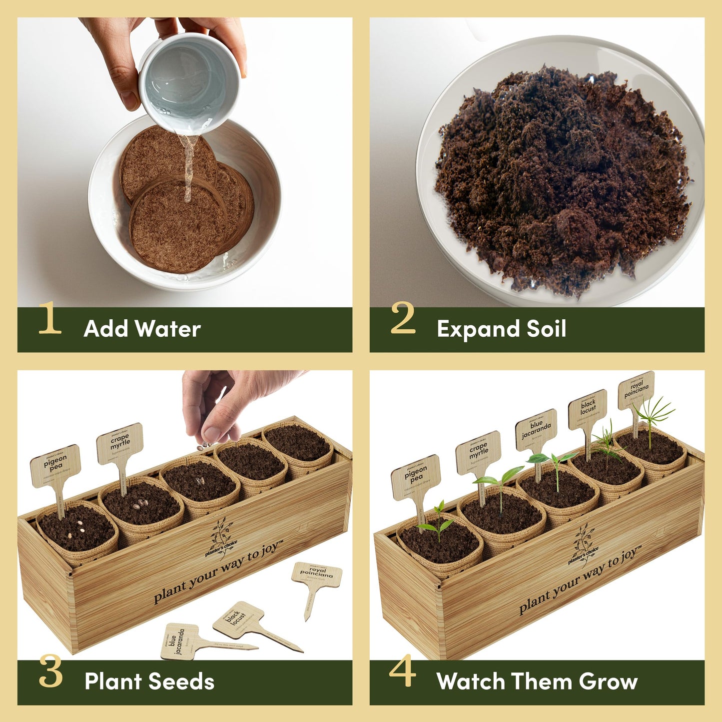 Planter's Choice Bonsai Tree Starter Kit - Unique Gifts for Women, Men - Gifts for Adults - Indoor Live House Plants - DIY Crafts for Adults Craft Kits - Hobby Gift for Gardening Lovers