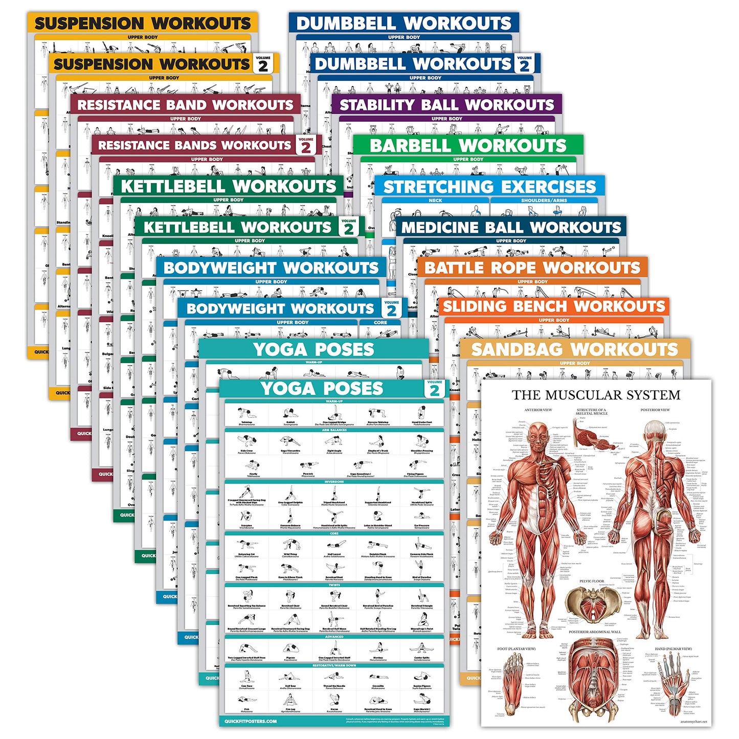 Palace Learning 20 Pack - Anatomical Posters - Paper - Muscular, Skeletal, Digestive, Respiratory, Circulatory, Endocrine, Lymphatic, Male & Female, Nervous, Sp