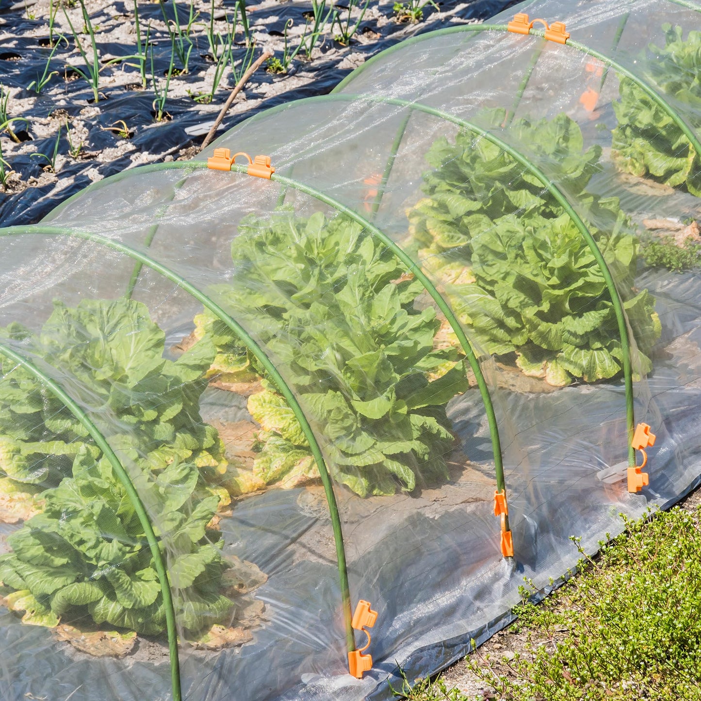 33 x 13 Ft Garden Plant Mesh Netting - Insect Bird Barrier Fine Mesh Net for Garden Protection - Garden Bug Netting Plant Cover for Protect Greenhouse Raised Beds Plant Fruits Tree Flower