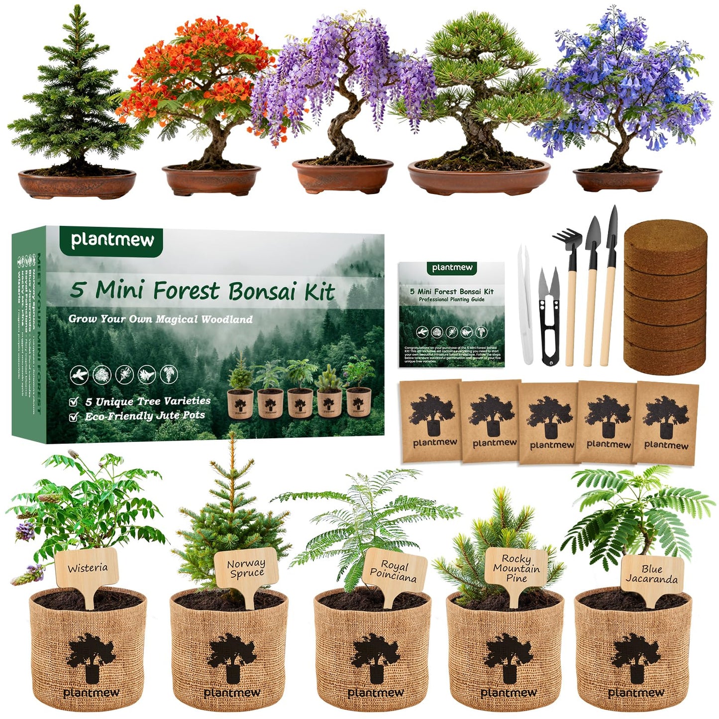 Crafts for Adults - Bonsai Tree Starter Kit with 5 Unique Japanese Trees | Complete DIY Gardening Kit for Birthday | Gifts for Women, Men, Mom, Dad, Plant Lovers