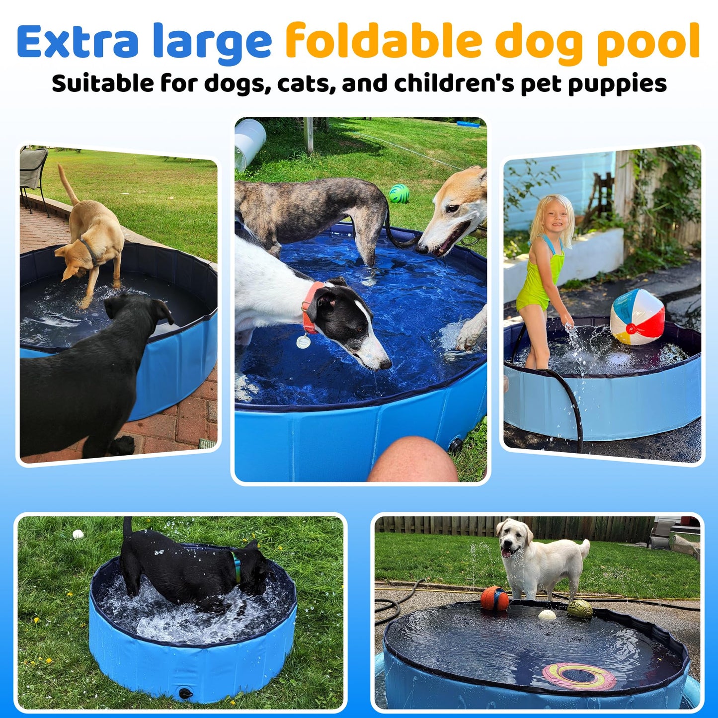 CACSPS 71" x 12" Foldable Dog Pool - Collapsible Hard Plastic Kiddie Pool for Dogs & Kids, Non-Slip Pet Bath Tub for Outdoor Backyard Use, Lightweight & Portable (Blue)