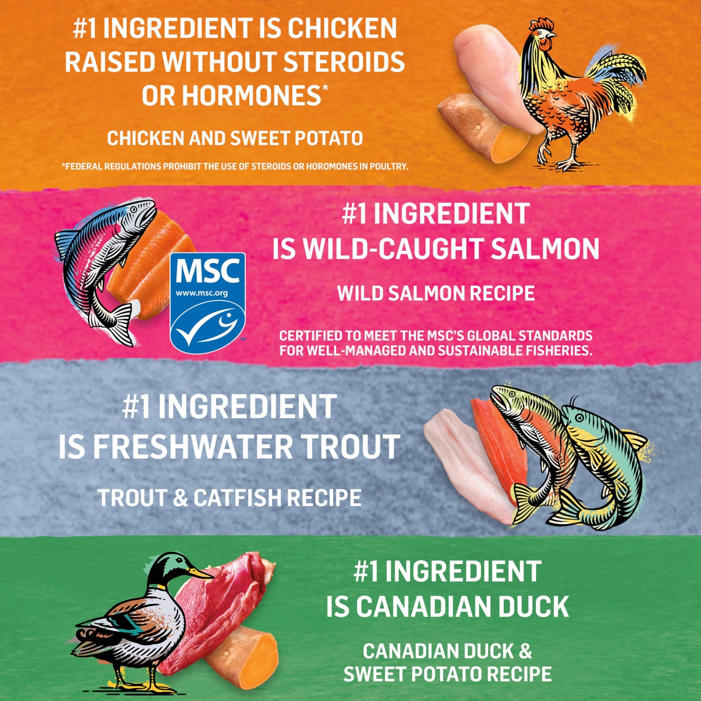 Beyond Grain Free Natural Wet Cat Food, Pate Variety Pack 4 Flavours - 85 g Can (24 Pack)