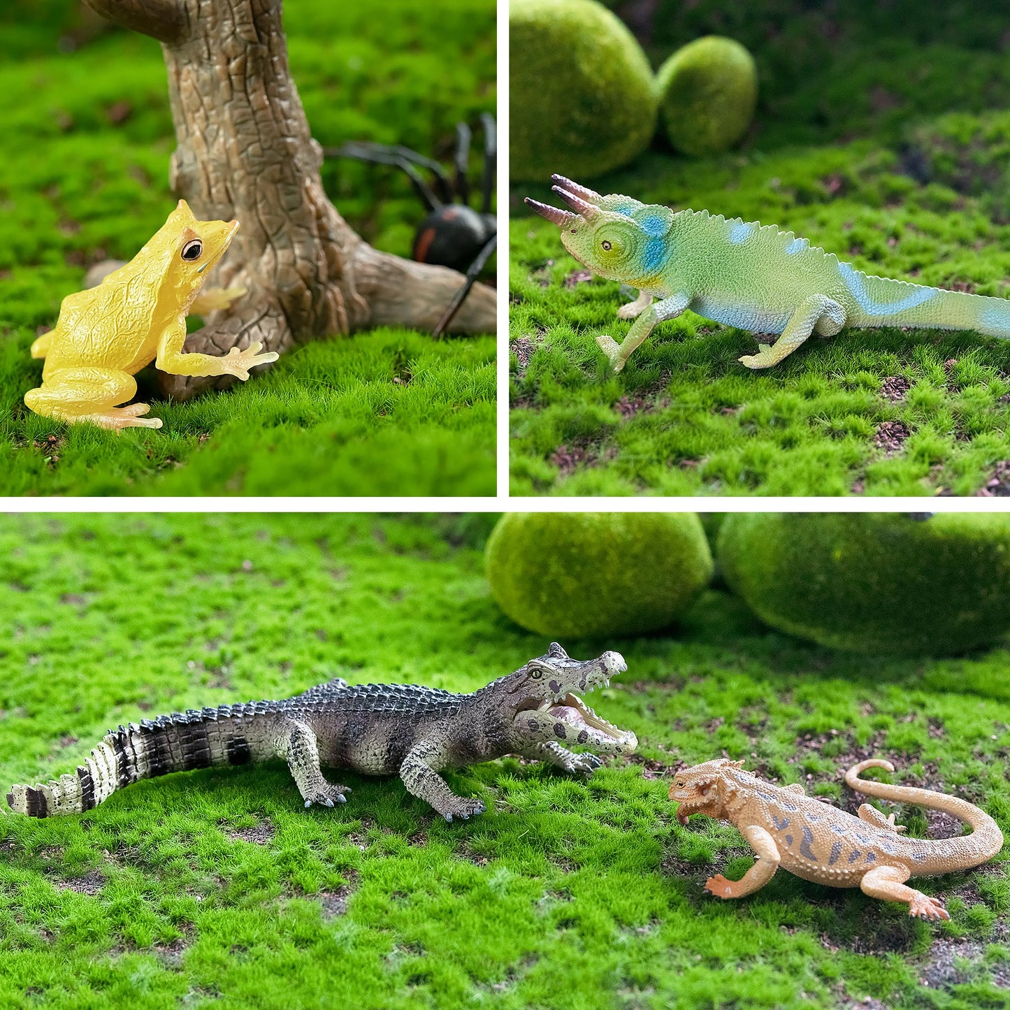 TOYMANY 12PCS Reptile Animal Figurine Toy Set，Cold Blooded Amphibians Jungle Animals Figures with Dragon Lizard Snake Chameleon Halloween Birthday Gift Party Favor School Project for Kids Toddlers