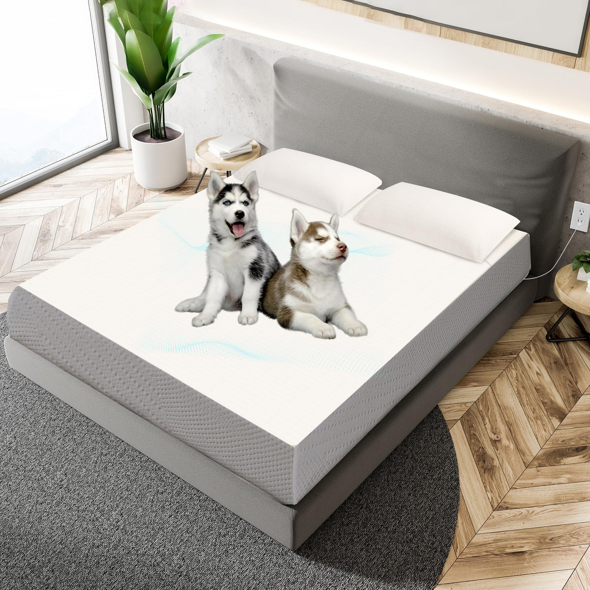 GRUENERDE Grounding Sheet Queen for Better Sleep (Beige 60x80in)
