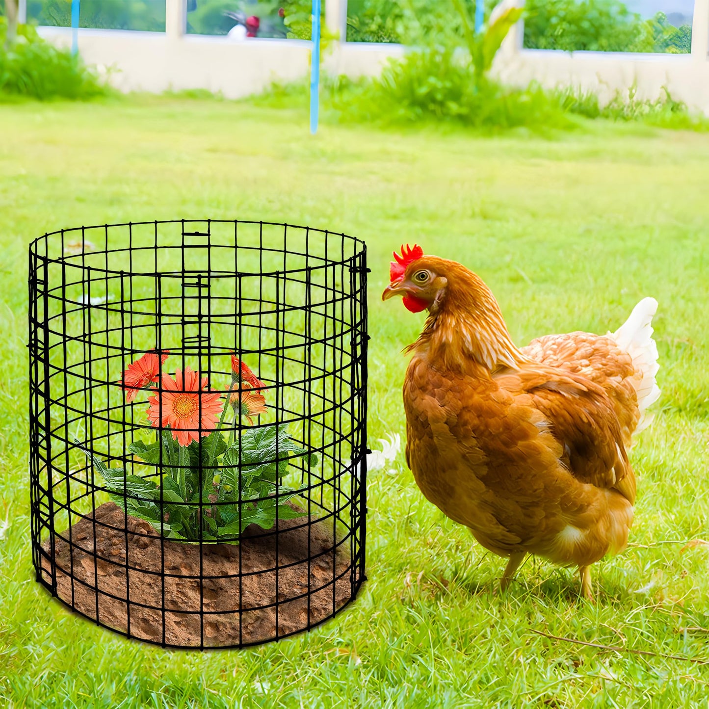 10 Packs Wire Plant Protector from Animals - 12" H X 12" D Metal Mesh Plant Cage Covers - Sturdy Garden Bunny Barricades Chicken Wire Cloche for Plants Shrubs Vegetables Flowers