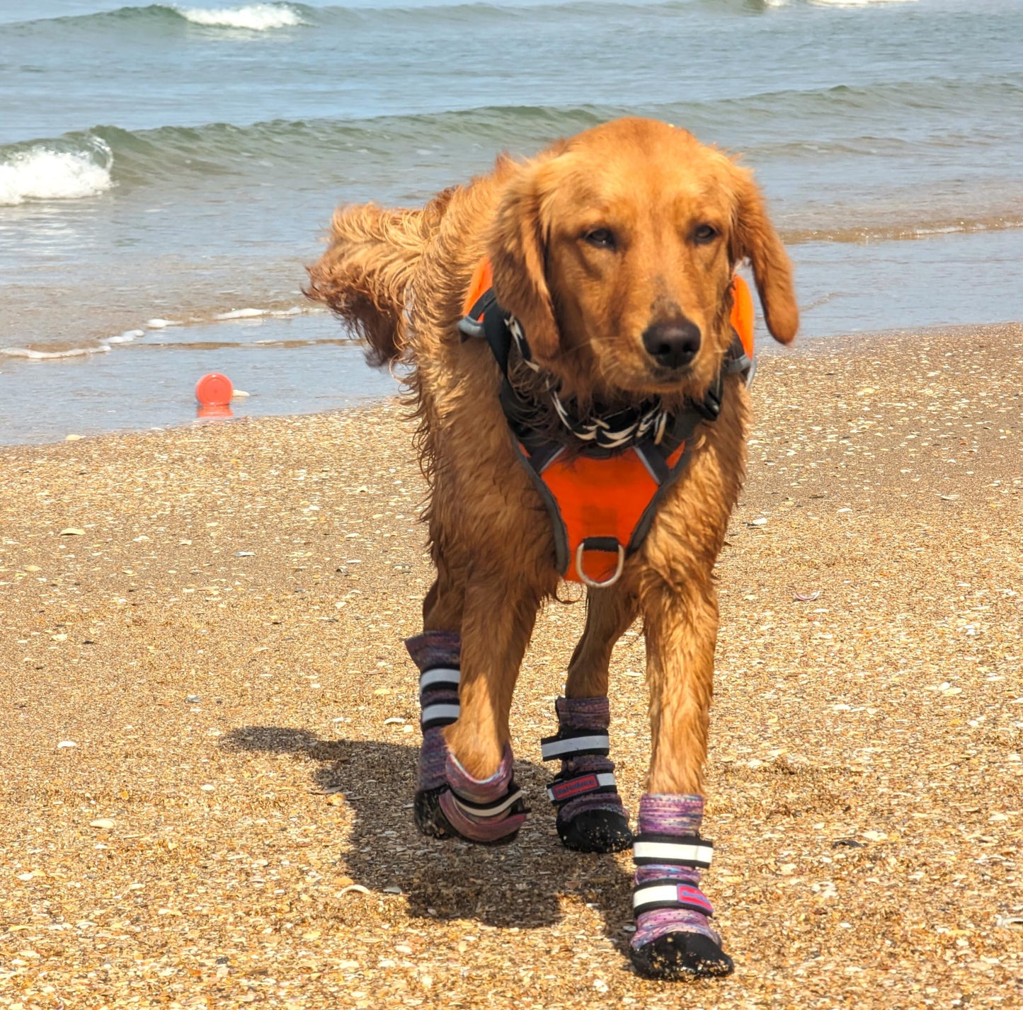 Bark Brite Lightweight Neoprene Paw Protector Dog Boots Designed for Comfort and Breathability in 5 Sizes (Lavender Lg)
