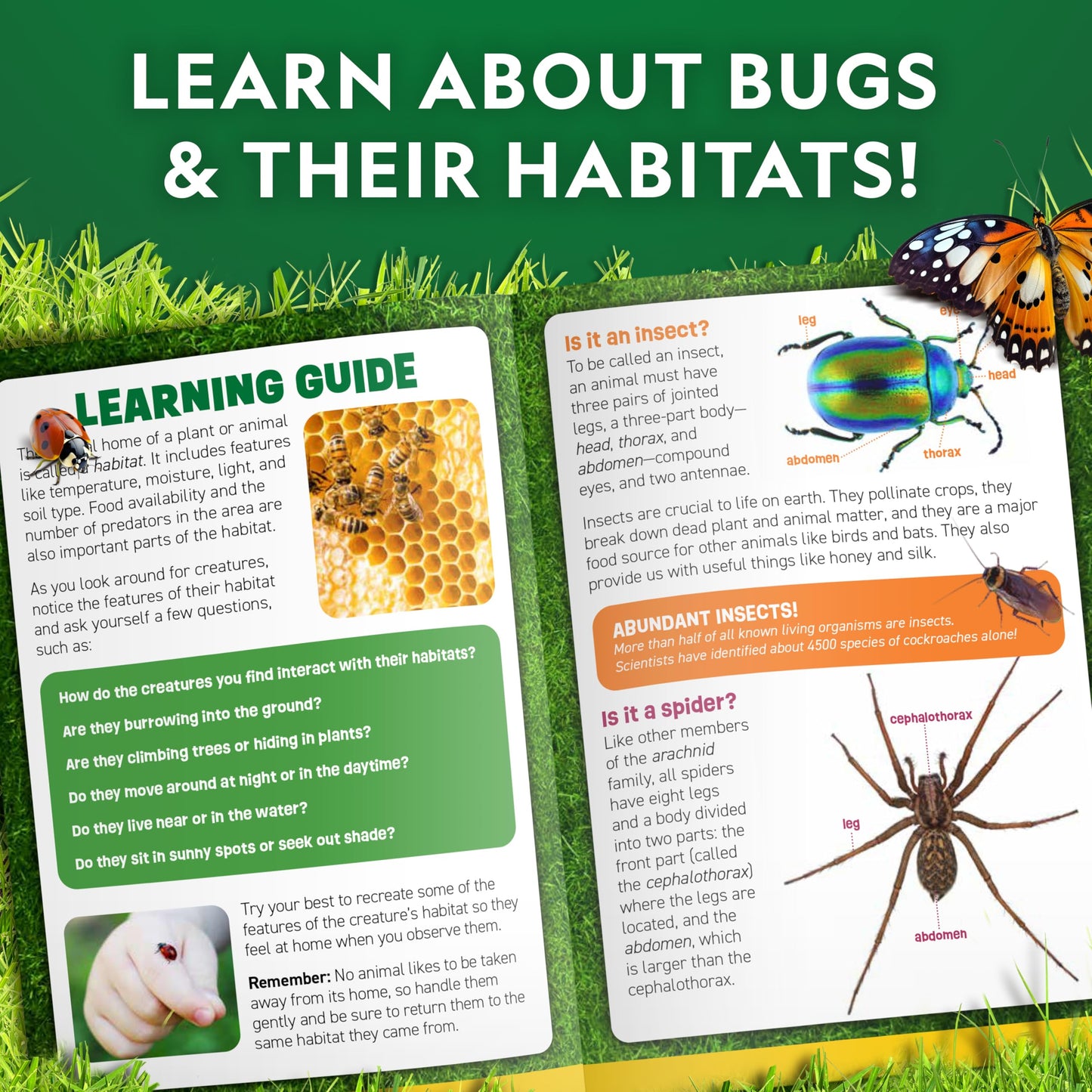 National Geographic Bug Catcher Kit for Kids - Kids Bug Catching Kit with Net, Habitat with Magnified Viewers, Tweezers, Bug Catcher & More
