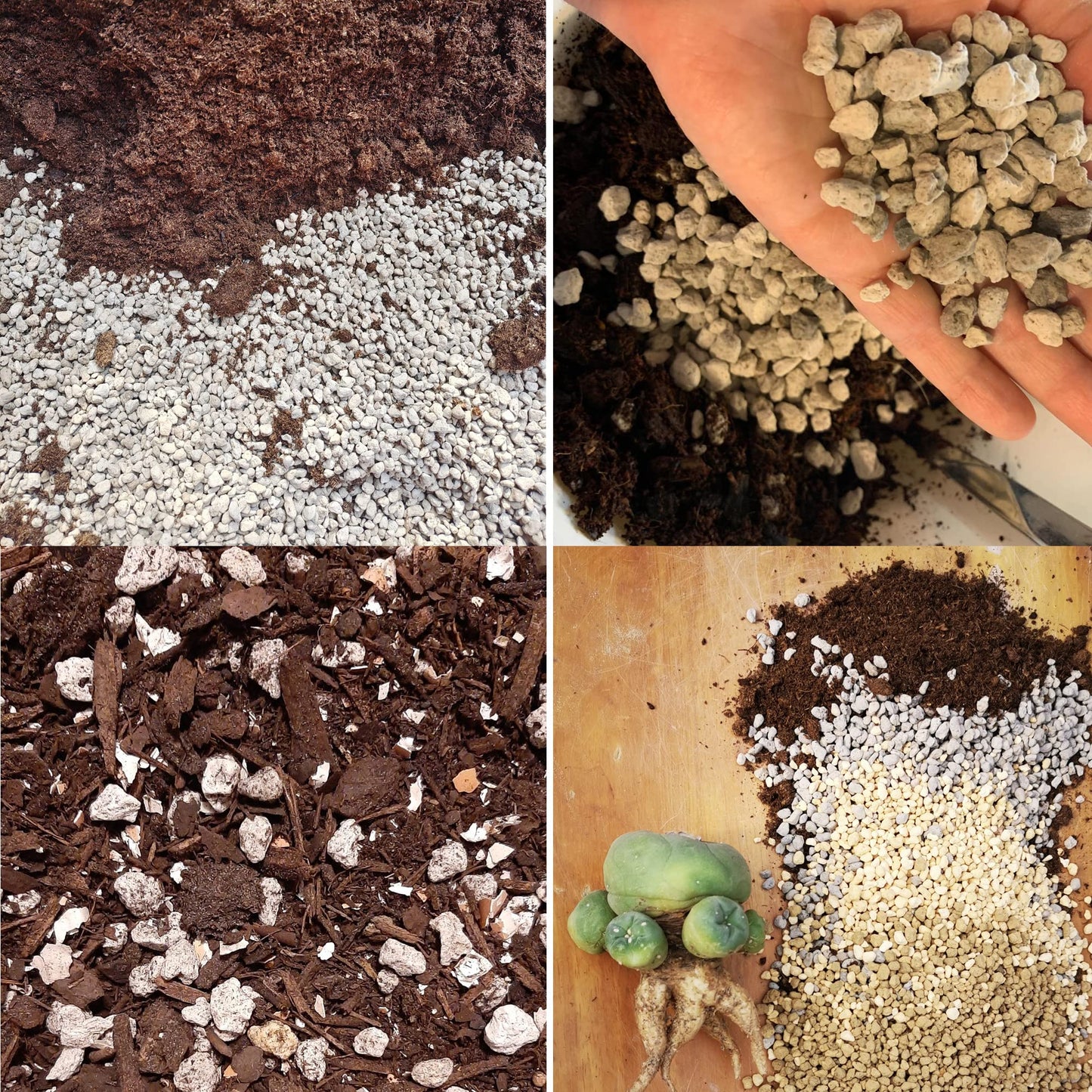 Horticultural Pumice for Plants Professional Sifted - for Succulents, Cactus, Bonsai Plants (1/4 inch, 19L)
