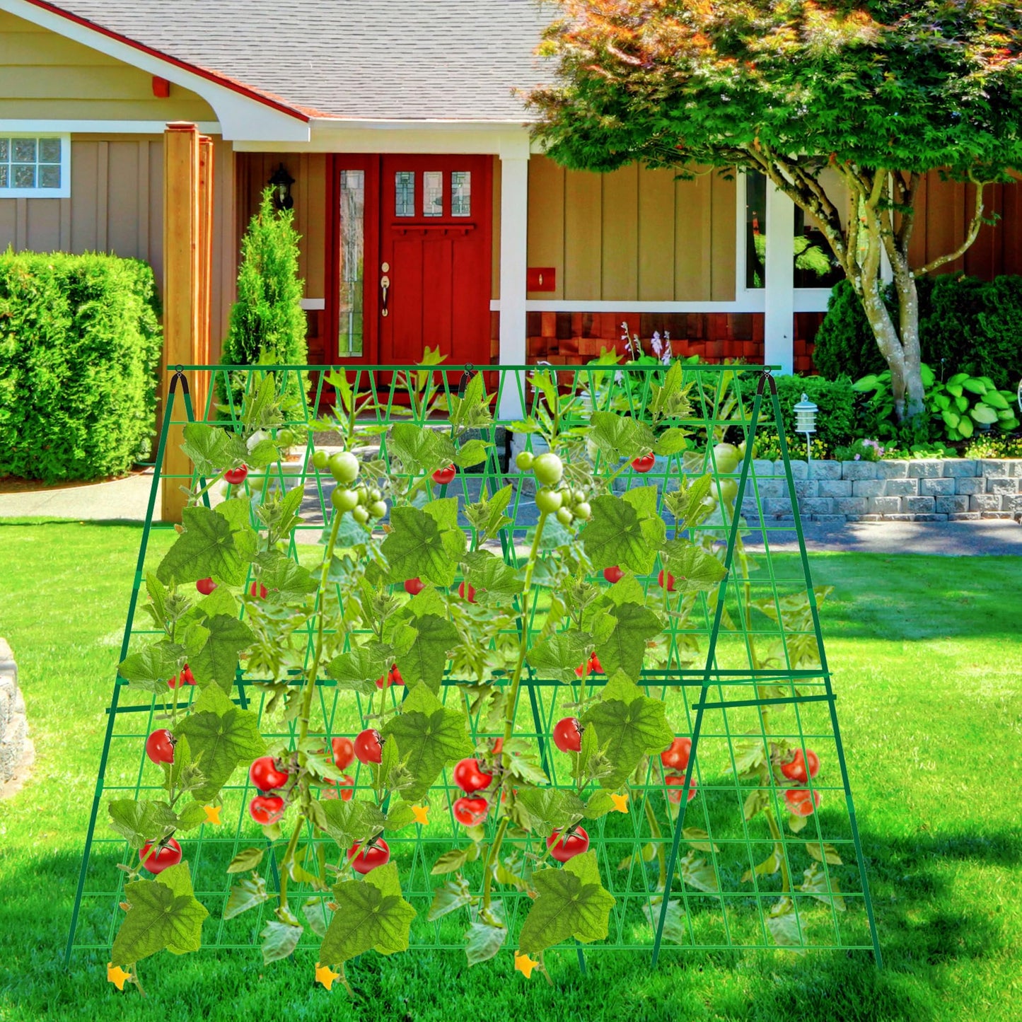 DECOHS A-Frame Metal Garden Trellis Set for Raised Bed-47x 47 Inch Detachable Climbing Trellis with Net and Clips for Outdoor Plant Cucumber Flowers Vegetables