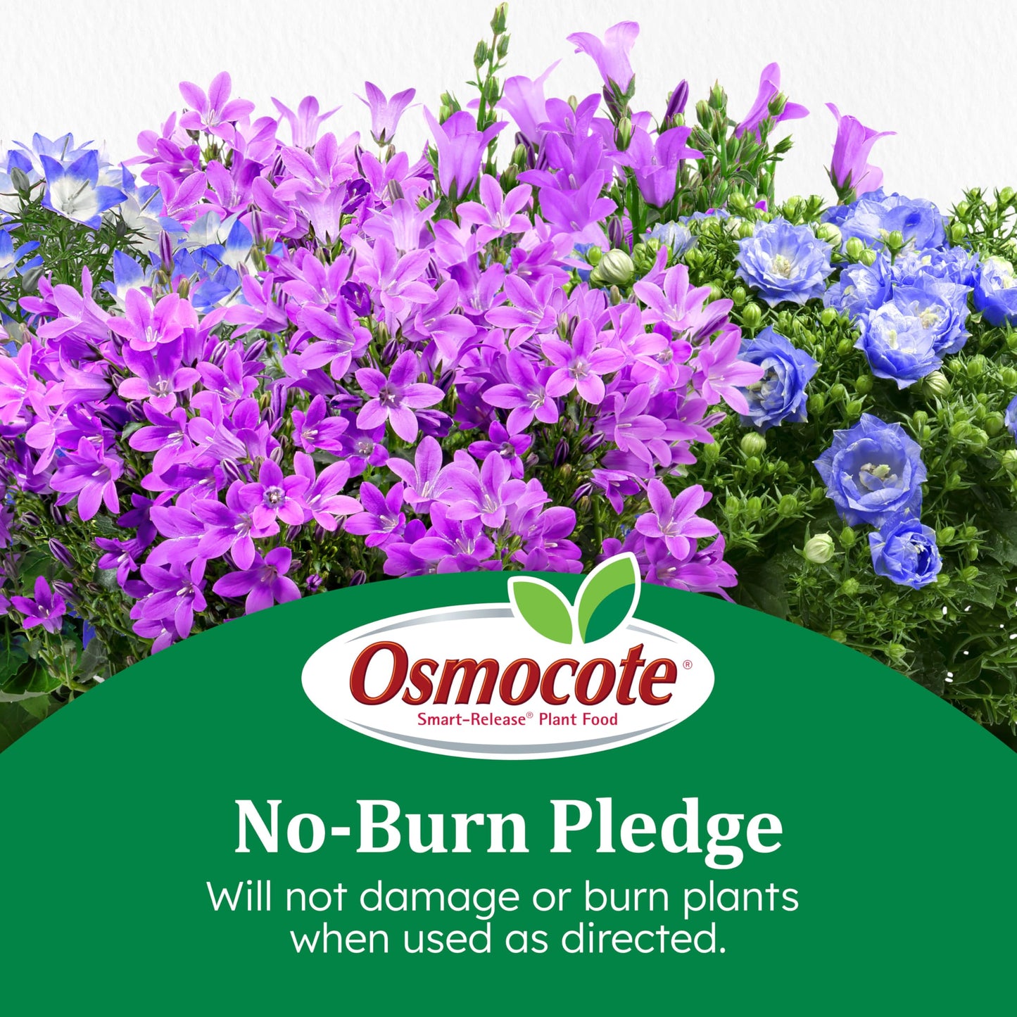 Scotts Company Osmocote 277860 Flower and Vegetable Smart-Release Plant Food, 14-14-14, 4.5-Pound Jug