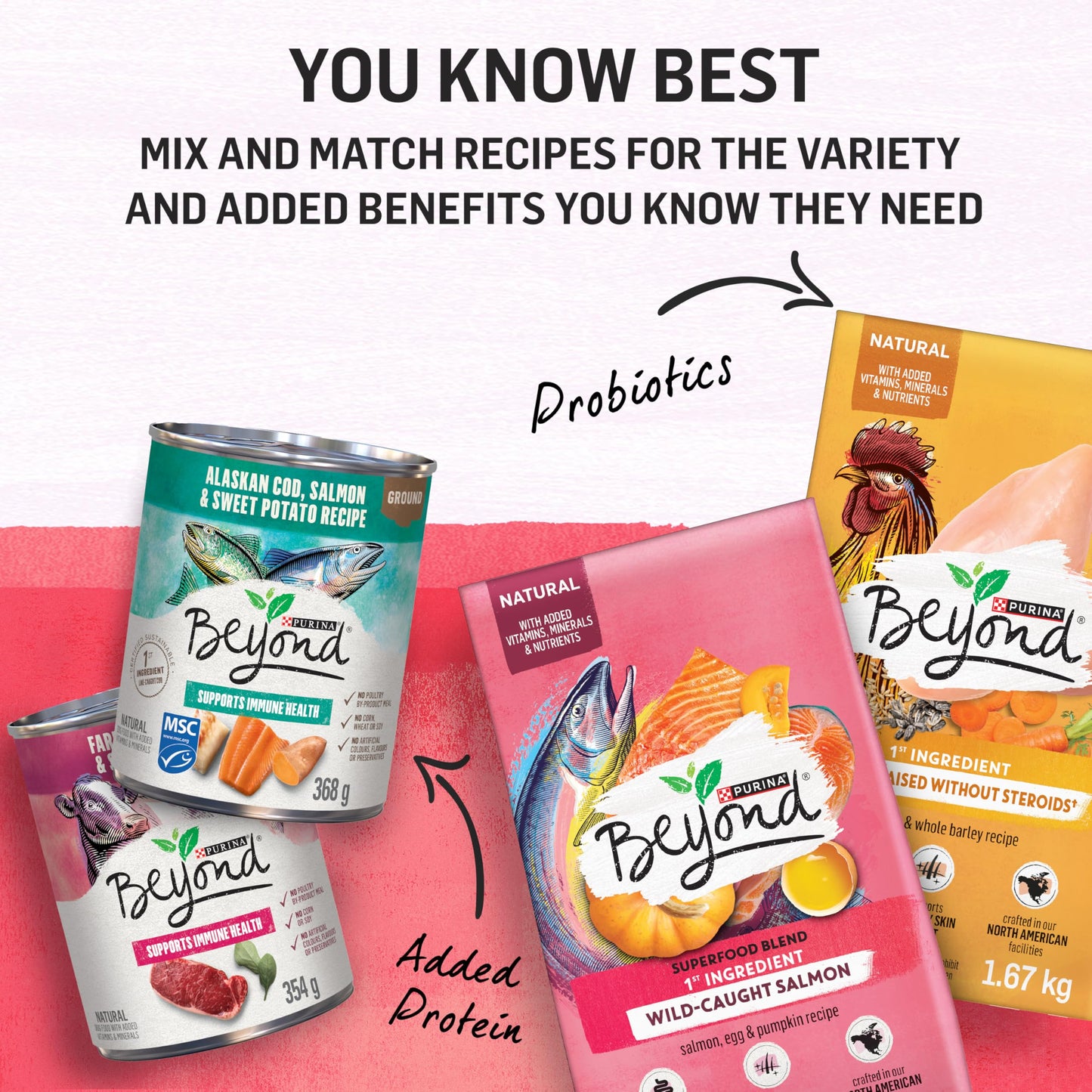 Beyond Superfood Blend Natural Dry Dog Food, Wild Caught Salmon, Egg & Pumpkin - 10.2 kg Bag